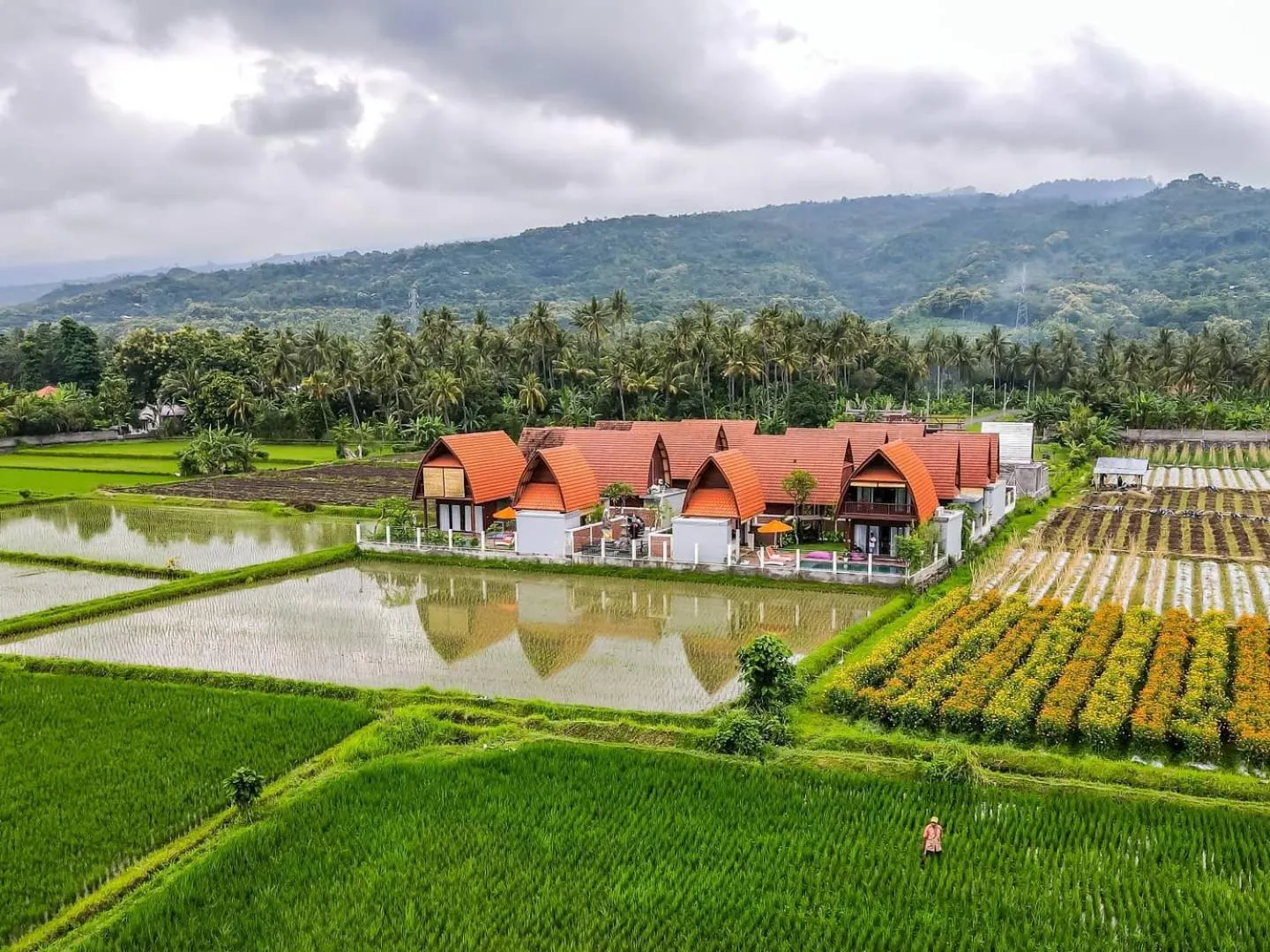 Bhumi Lovina Residence & Villa