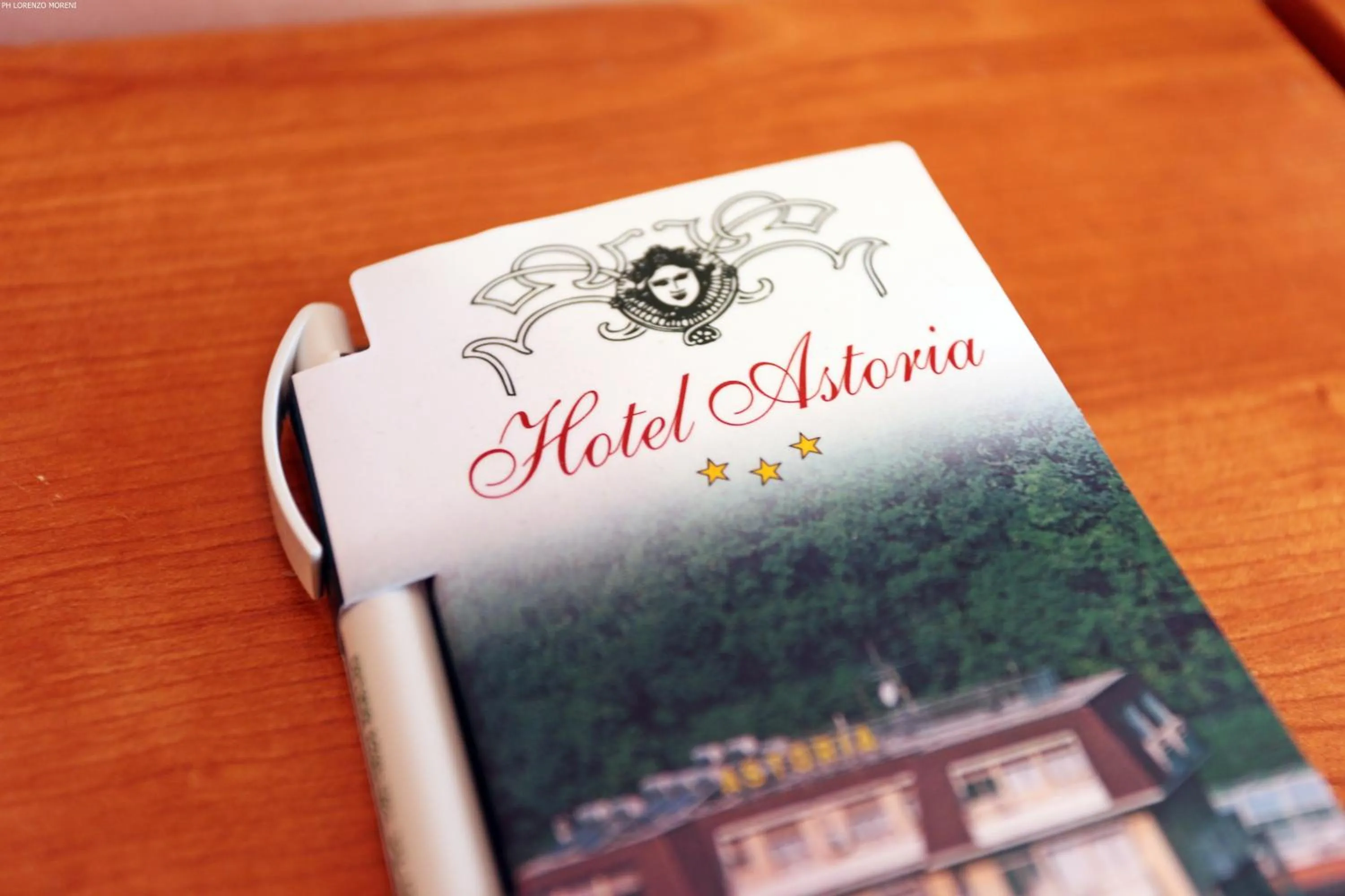 Decorative detail in Hotel Astoria