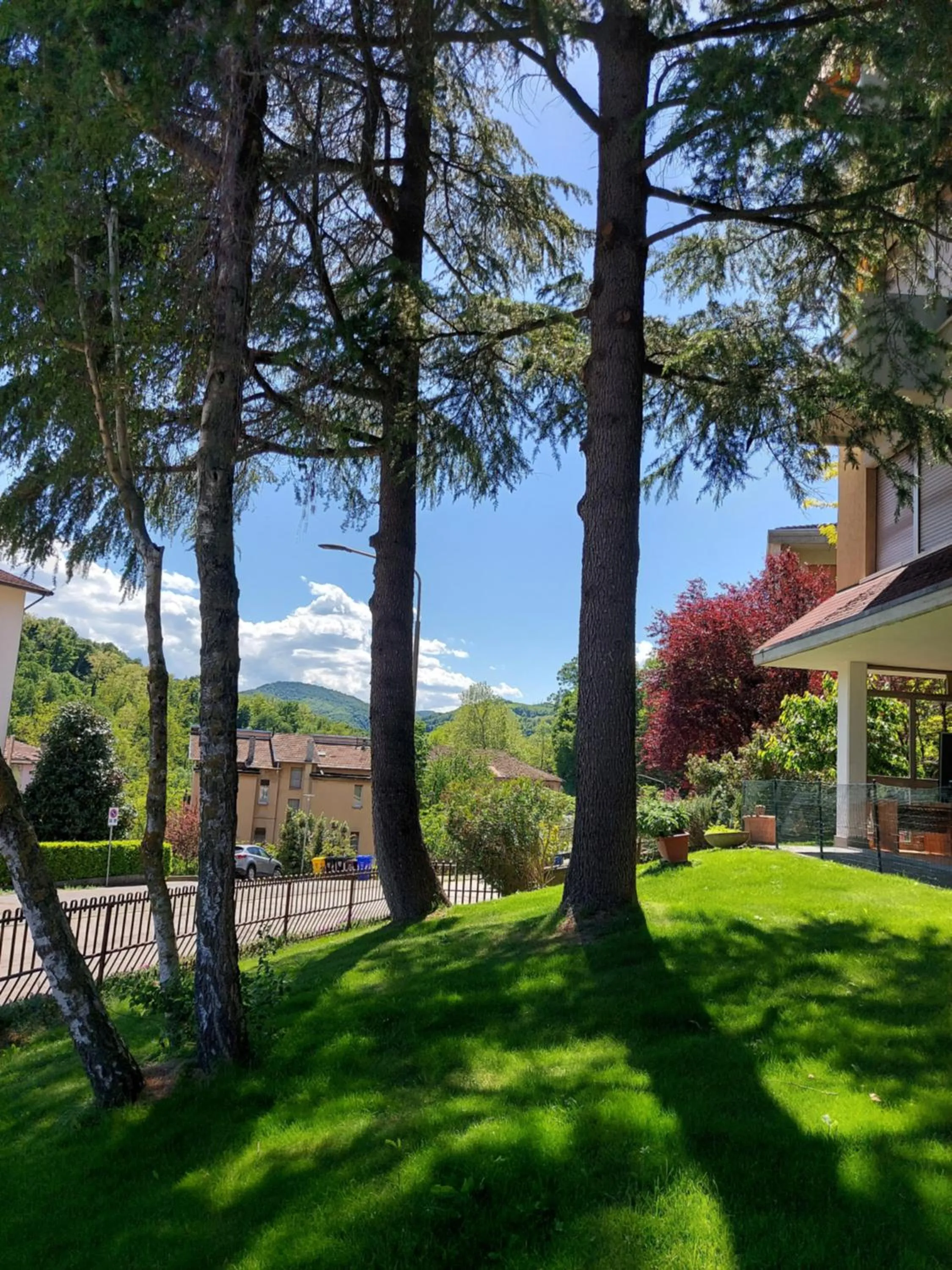 Garden in Hotel Astoria