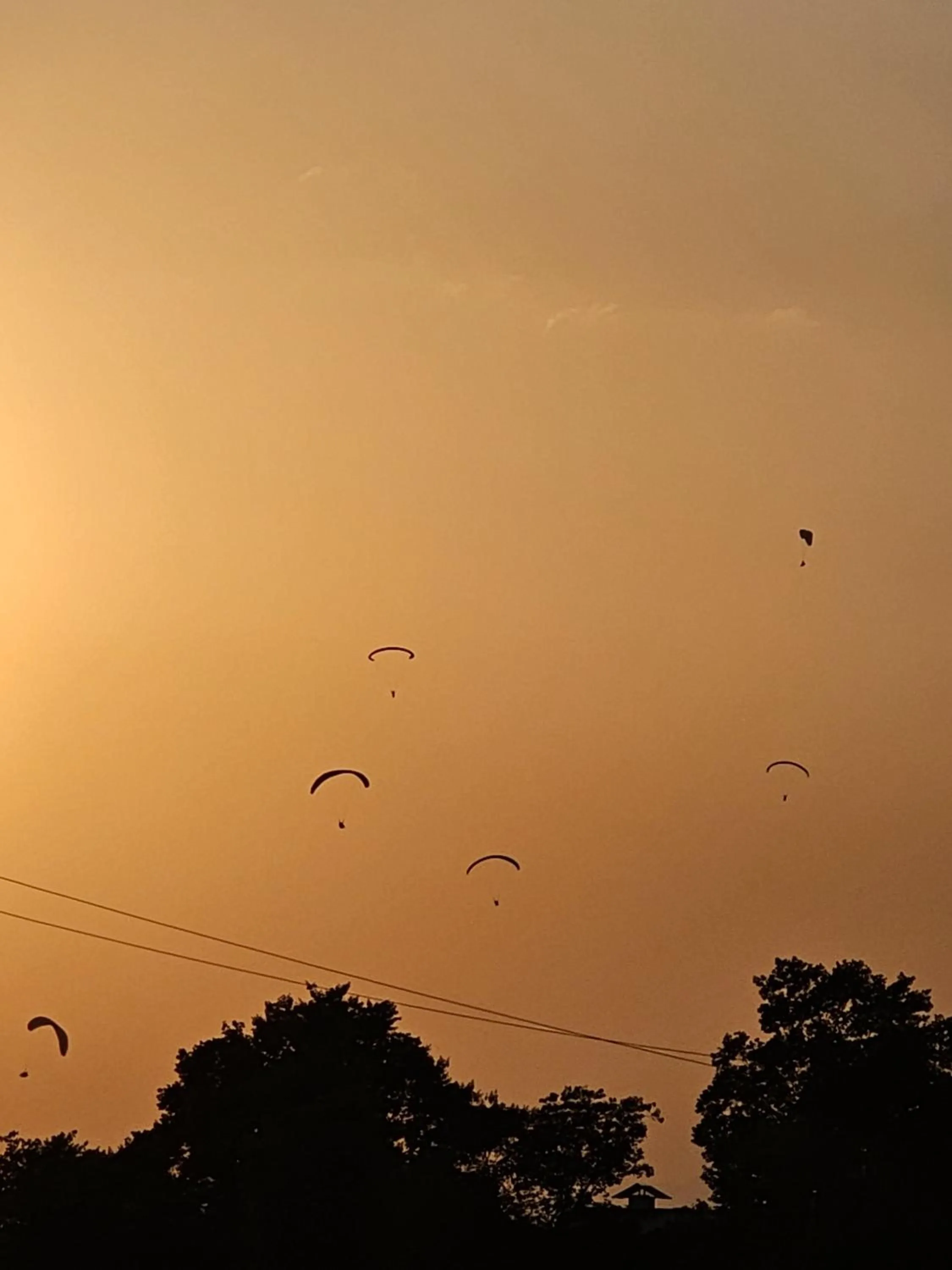 Sunset in The Bunksters Bir