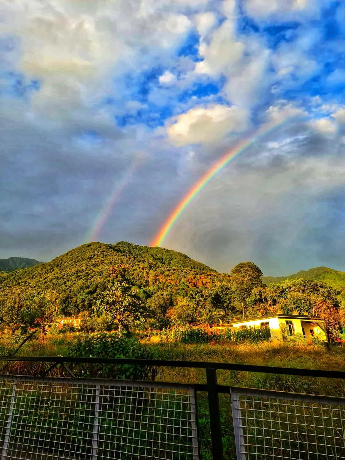 Day in The Bunksters Bir