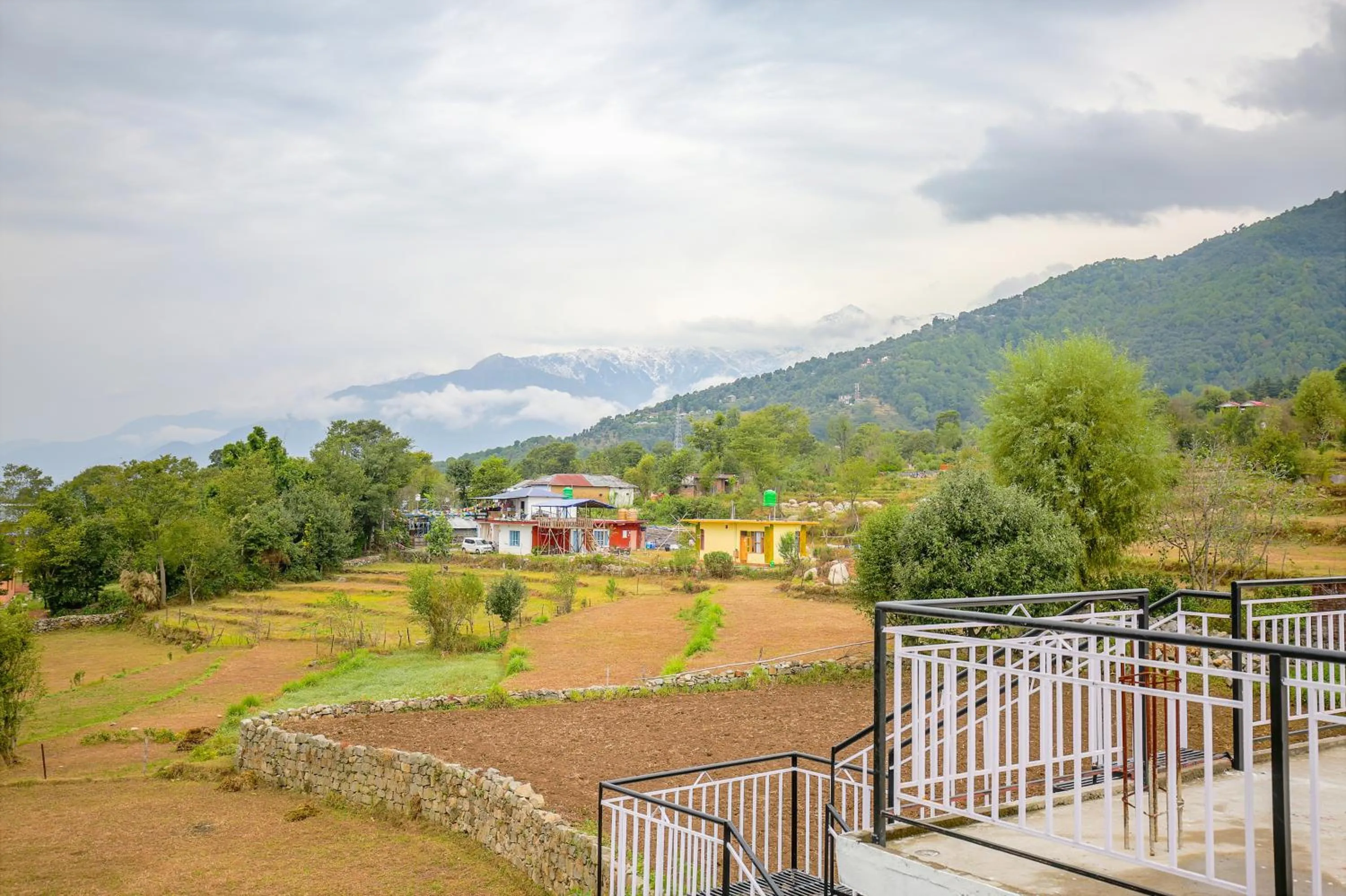 Property building in The Bunksters Bir