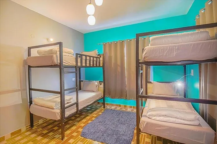 Bed in The Bunksters Bir