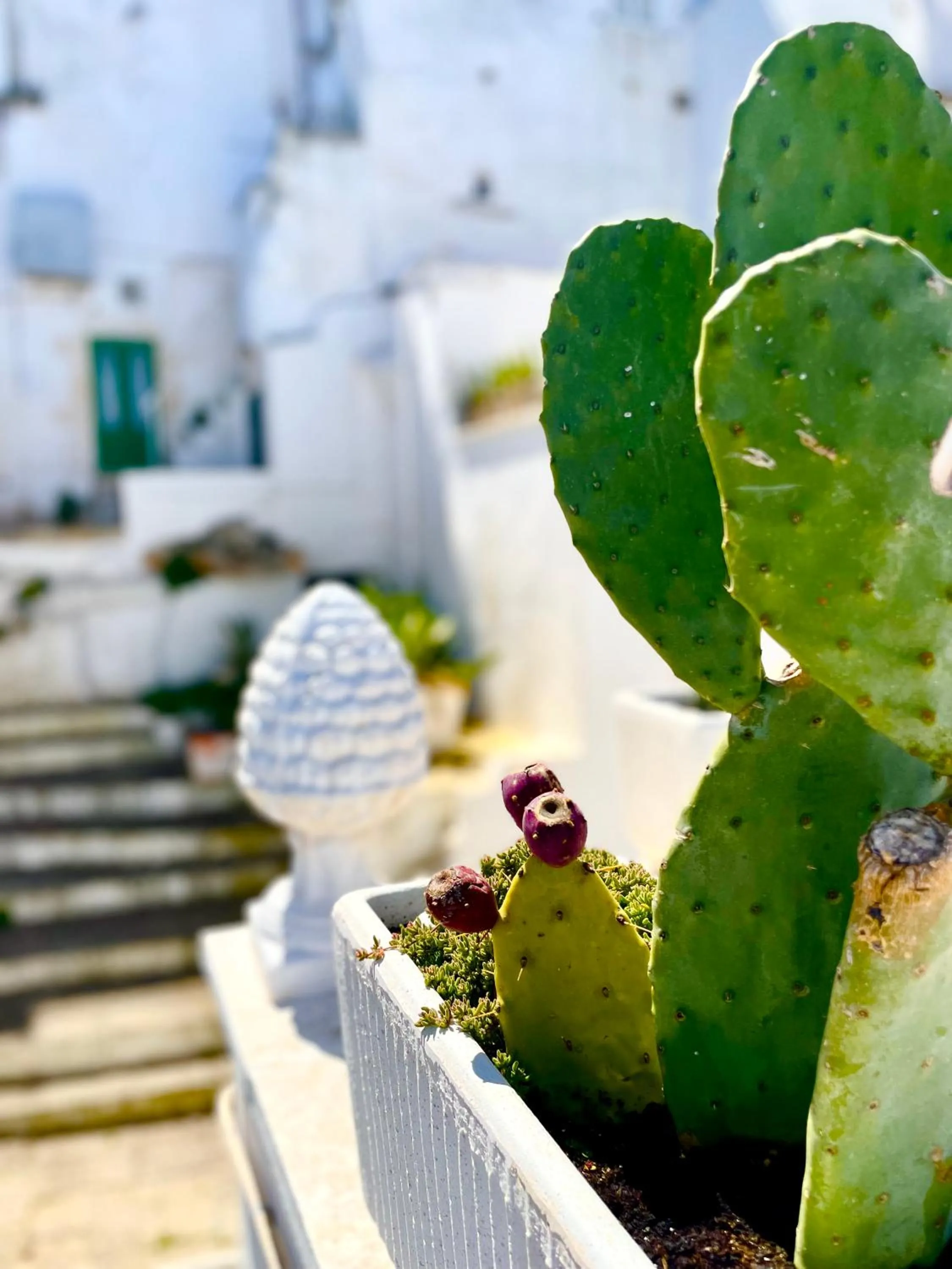 Balcony/Terrace in BELLE HOME OSTUNI vasca vista mare