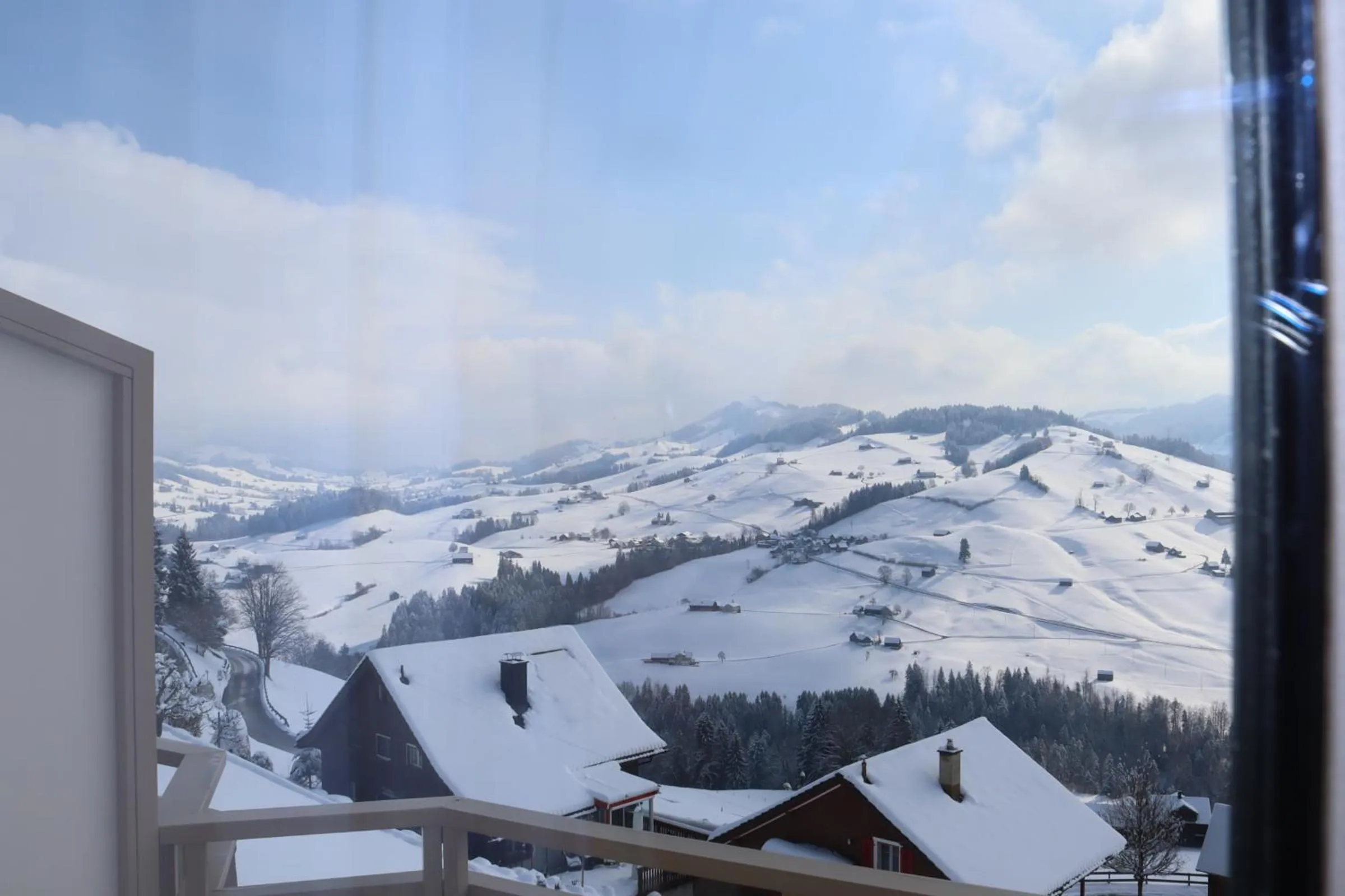 Winter in Hotel Swiss Views