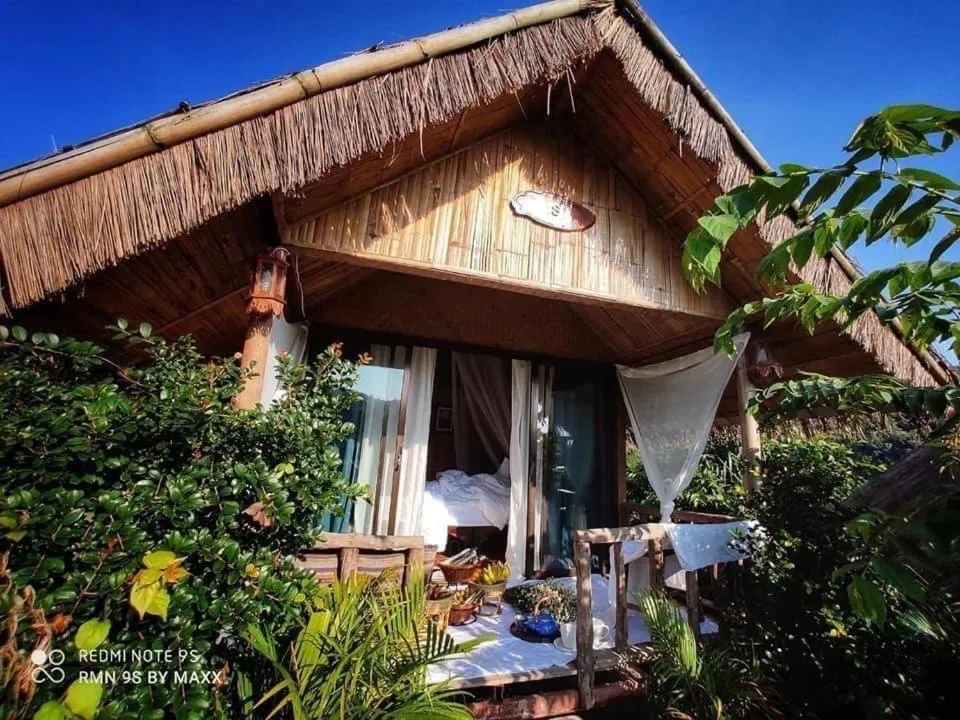 3 Pok Maewang jinxiang Gold elephant park