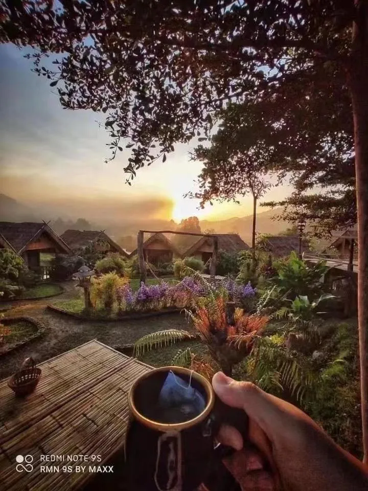 3 Pok Maewang jinxiang Gold elephant park