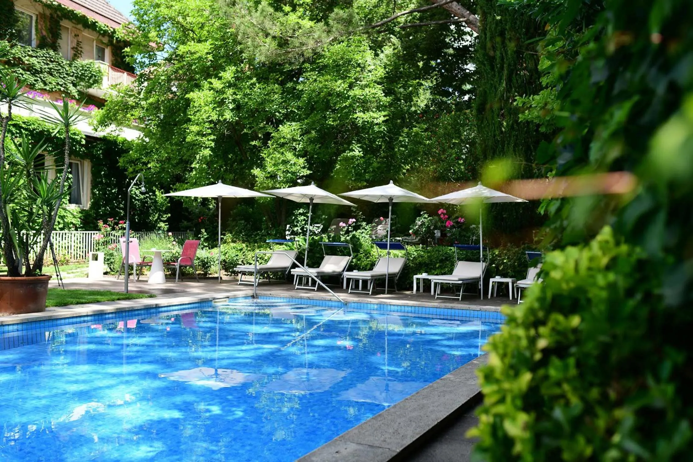 Swimming pool in Hotel Juliane