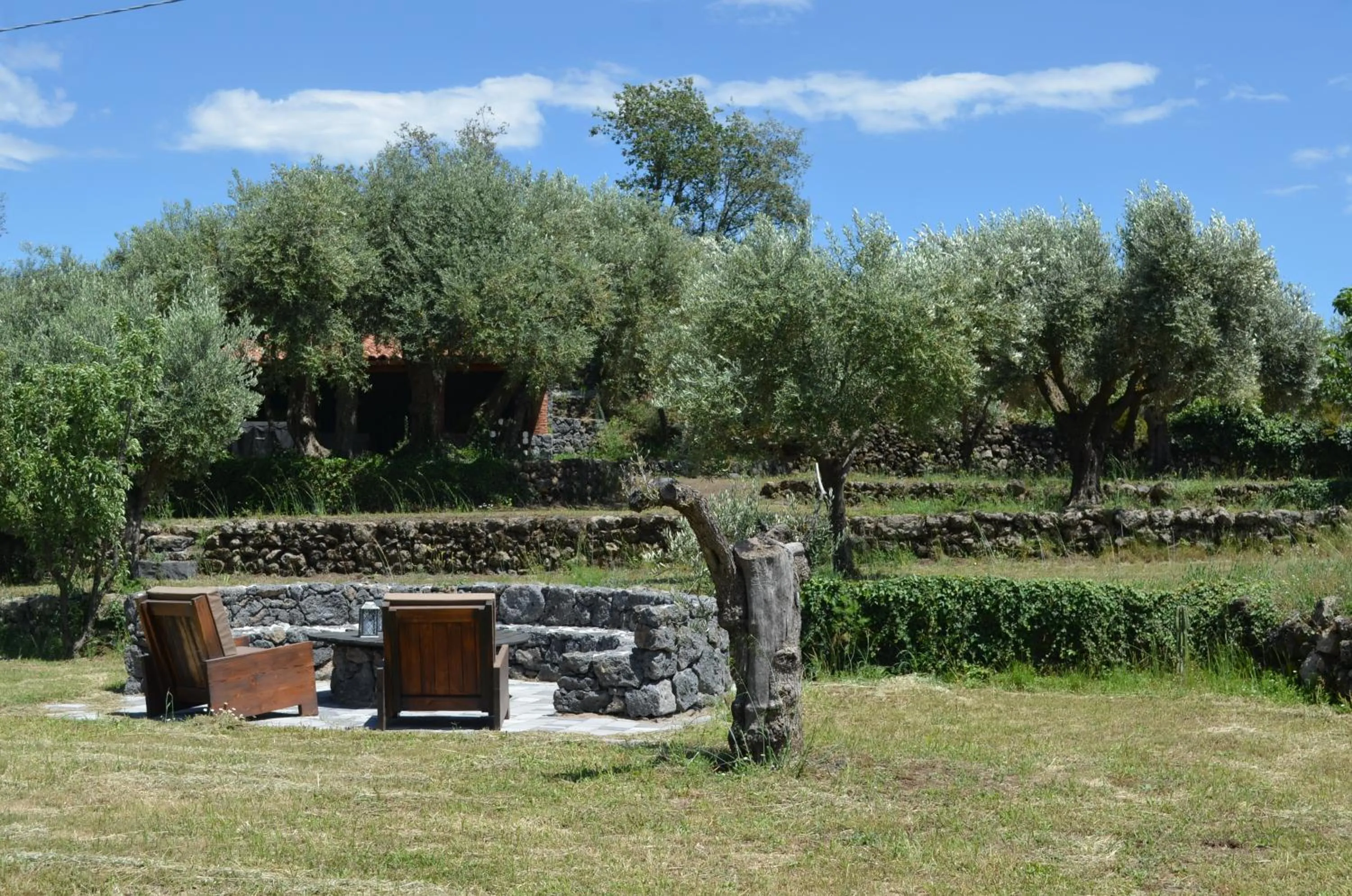 Garden view in Villa VEDA