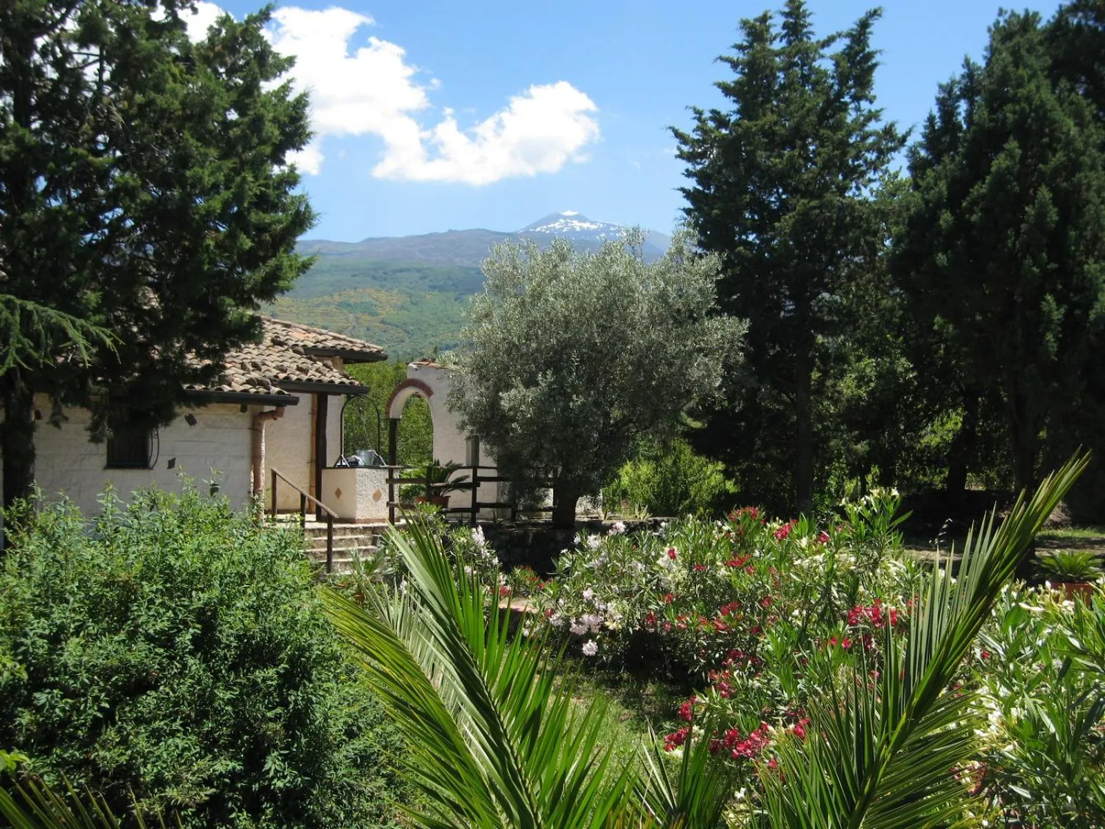 Natural landscape in Villa VEDA