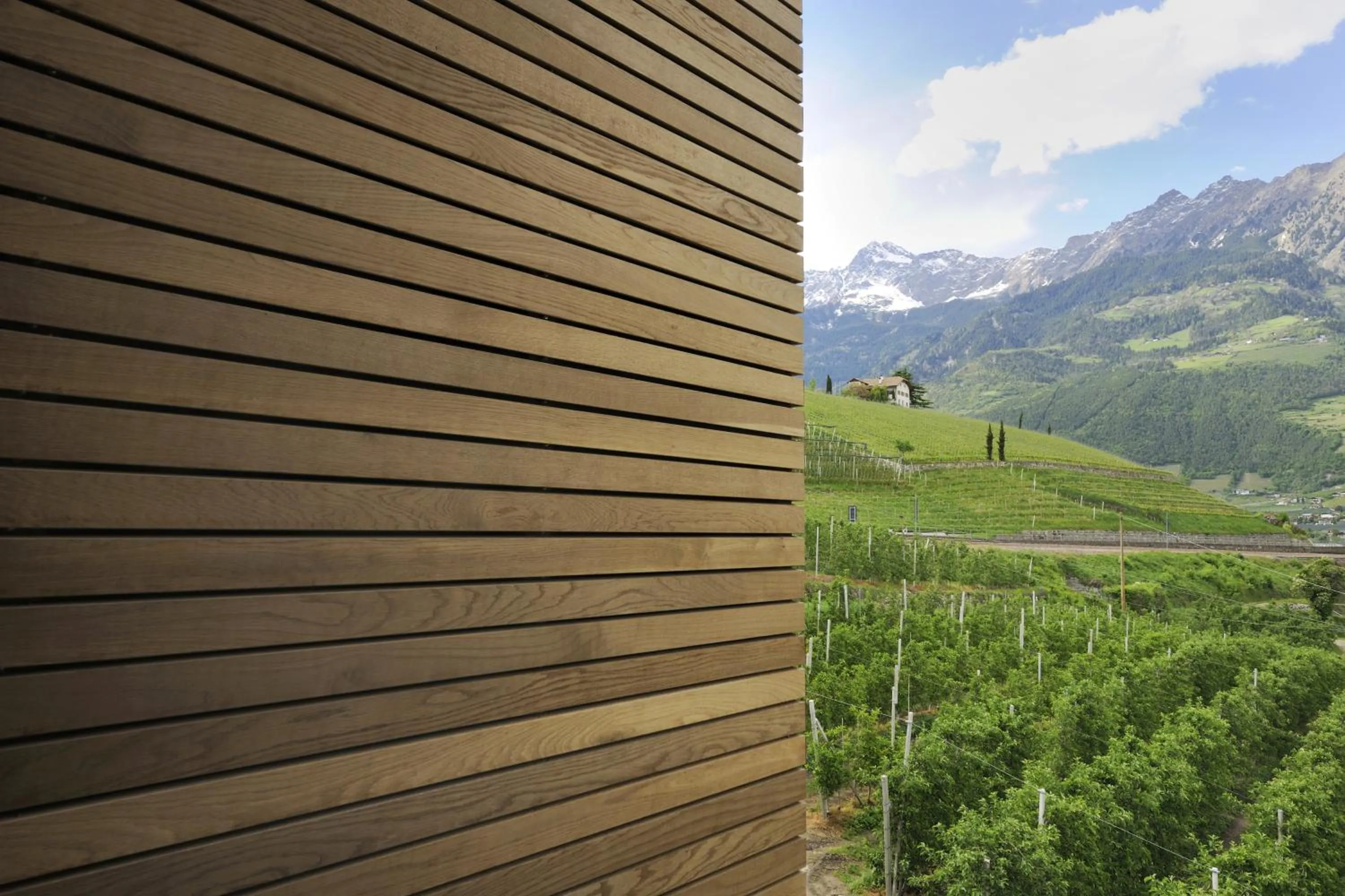 Mountain view in Bio & Wellnesshotel Pazeider - Healing Garden above Meran