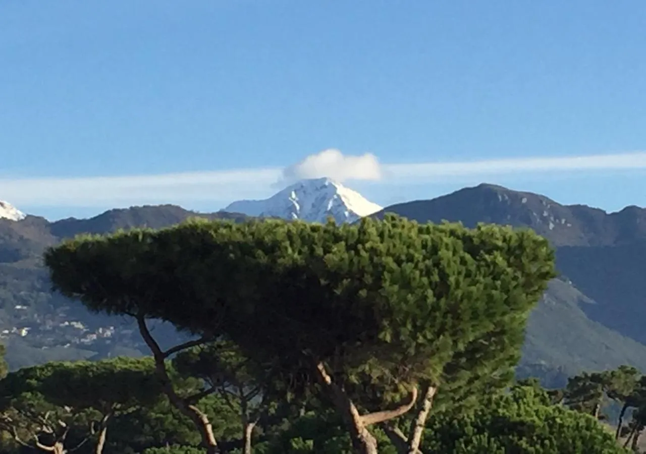 Mountain view in Riviera Residence