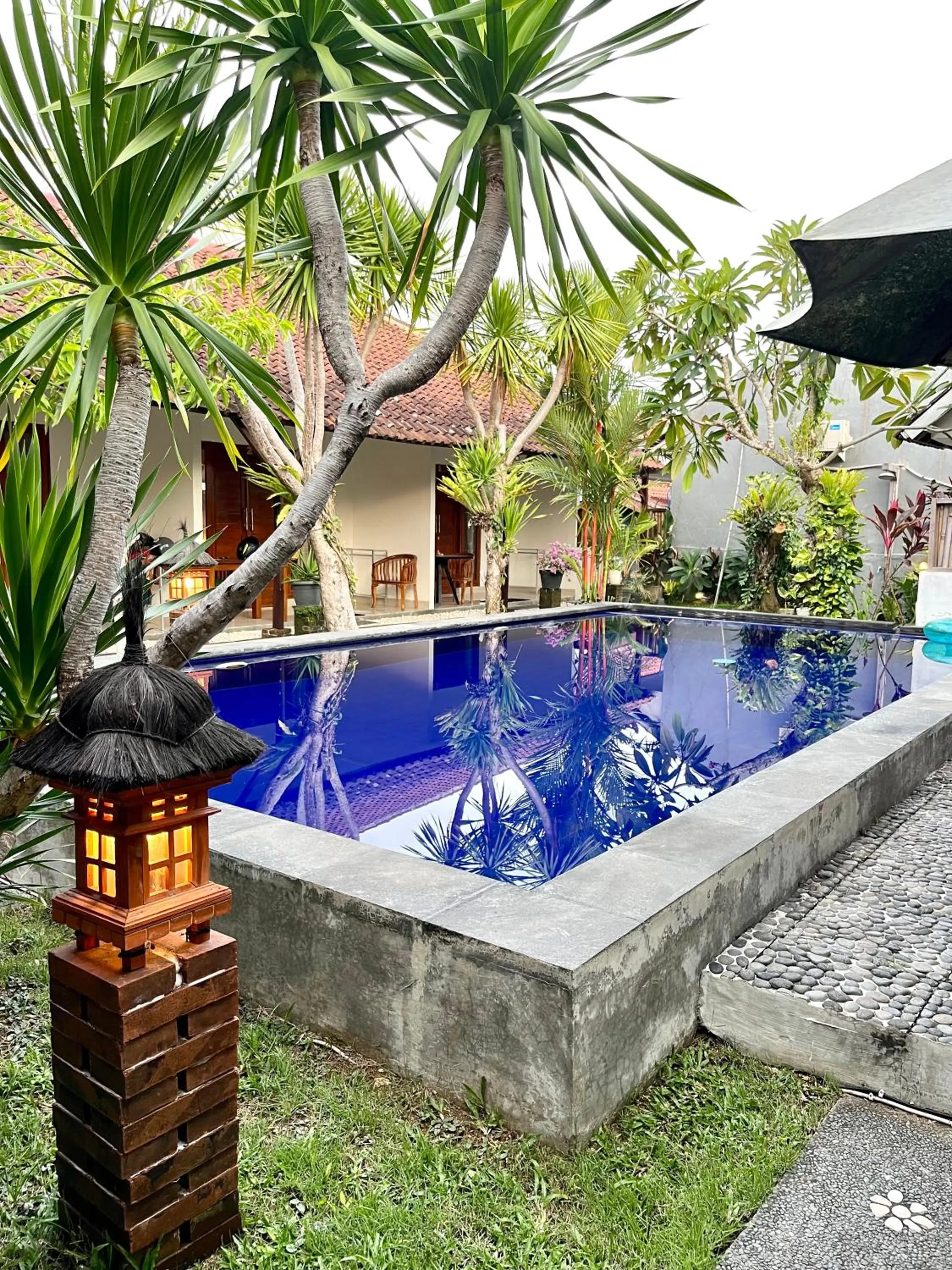 Swimming pool in Pererenan nengah guest house canggu