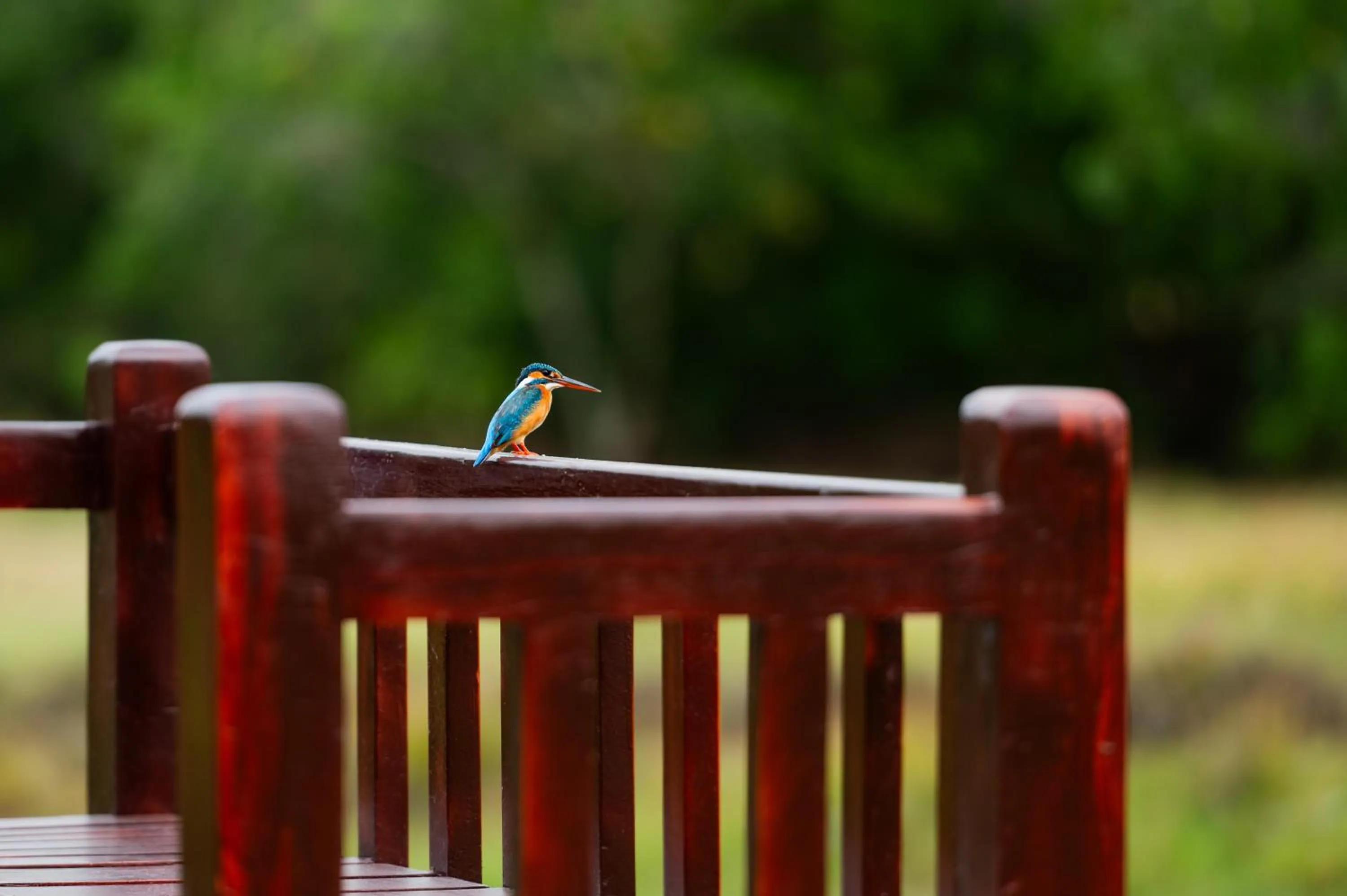 Natural landscape in The Alampara Resort - Luxury Boutique Glamping & Water sports
