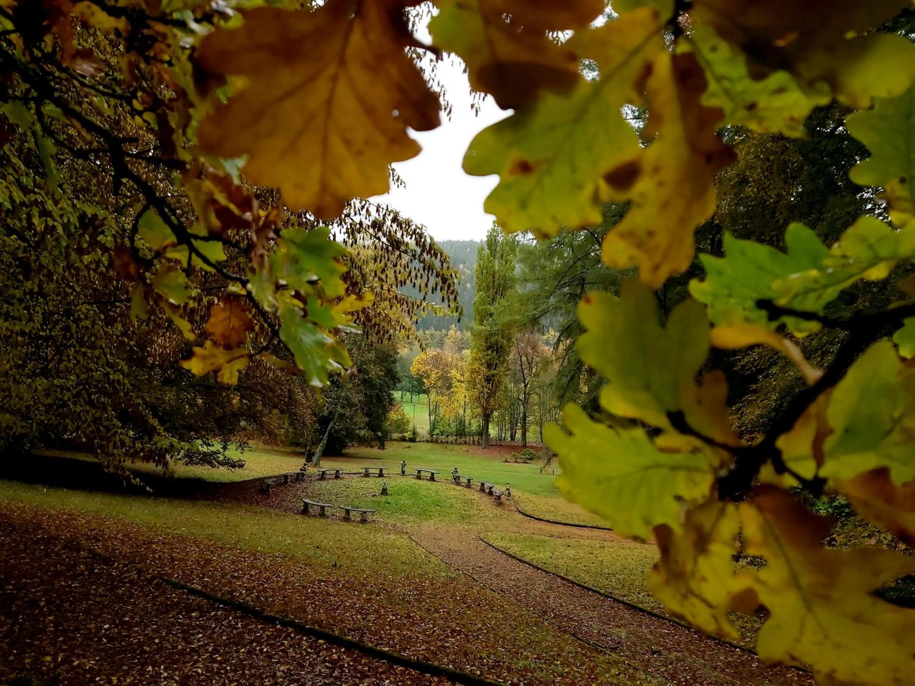 Natural landscape in Hotel U Zámečku Cihelny