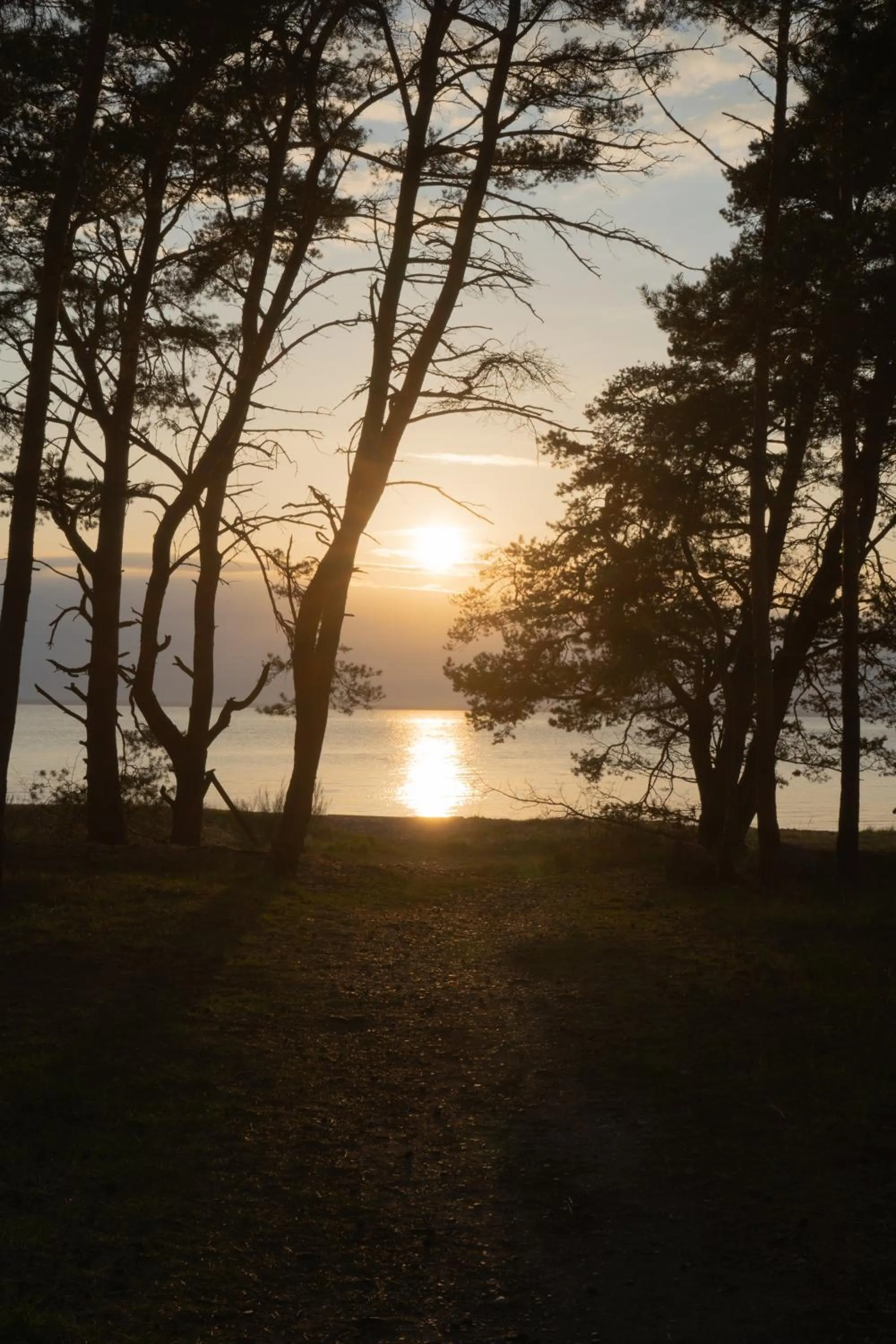 View (from property/room) in Stora Frögården