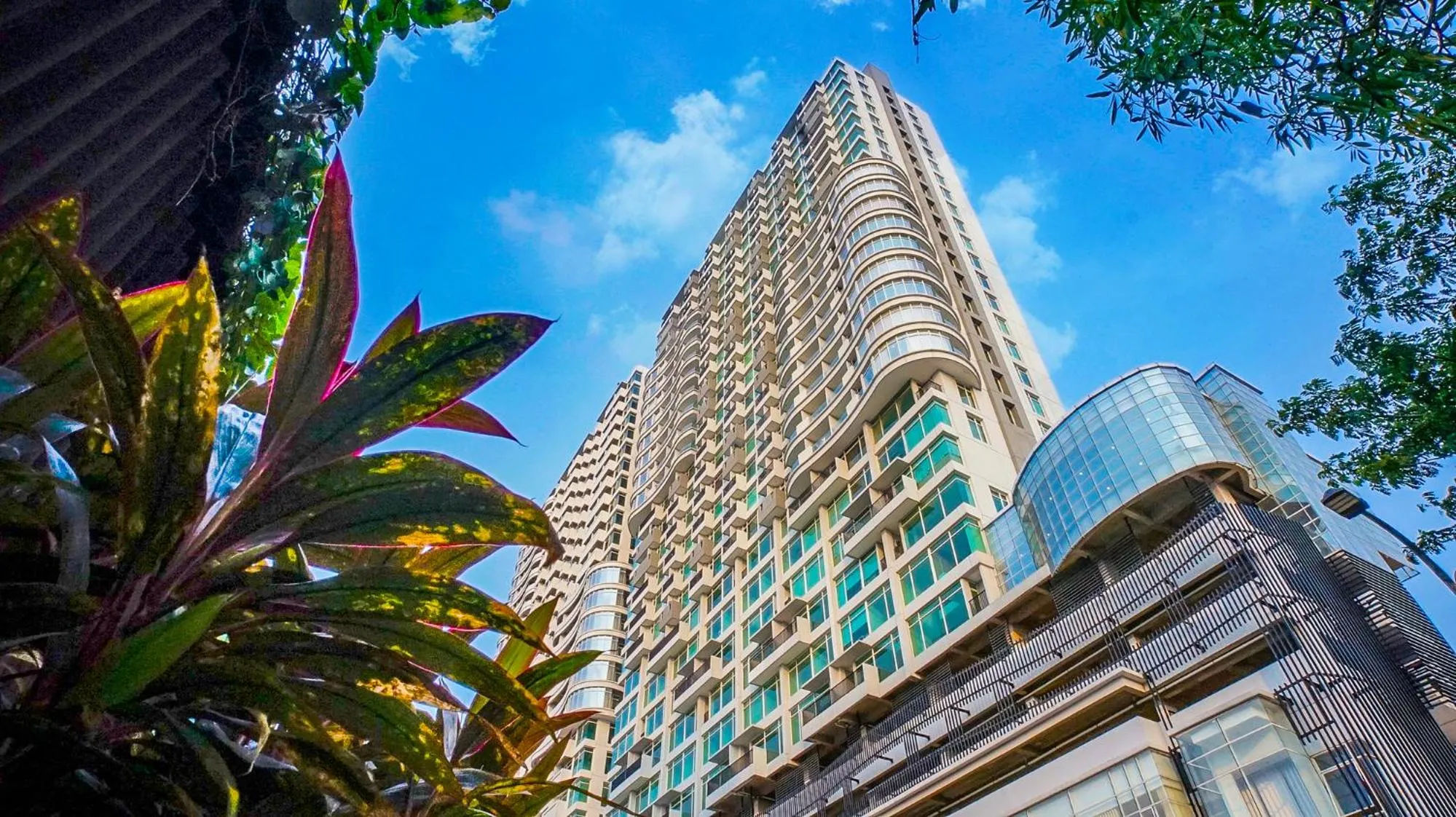 Property building in Ventura Room at TreePark City