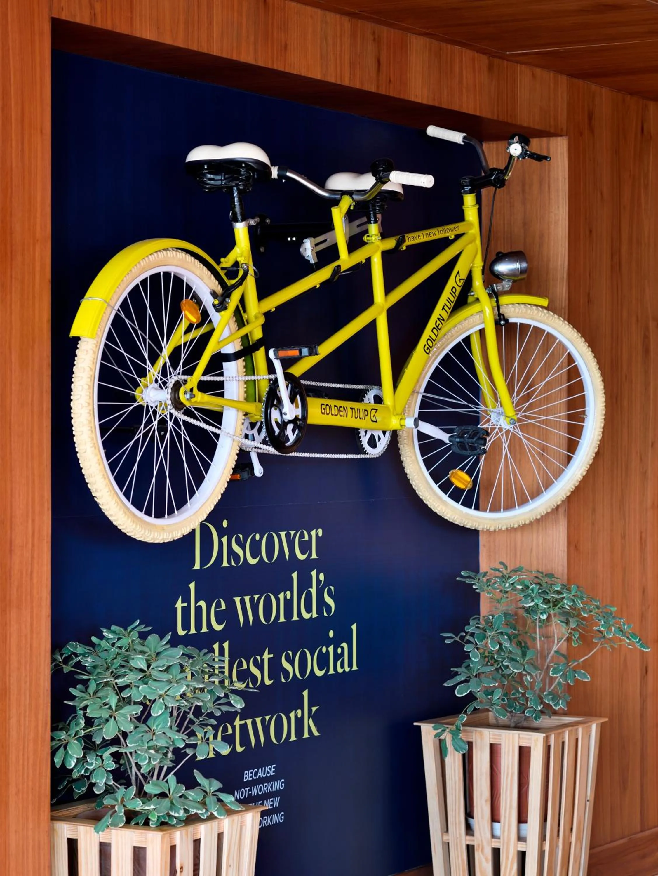 Area and facilities in Golden Tulip Jalandhar