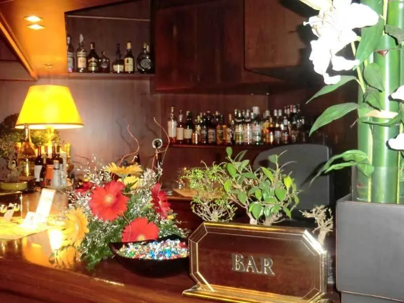 Lounge or bar in Hotel Bellavista