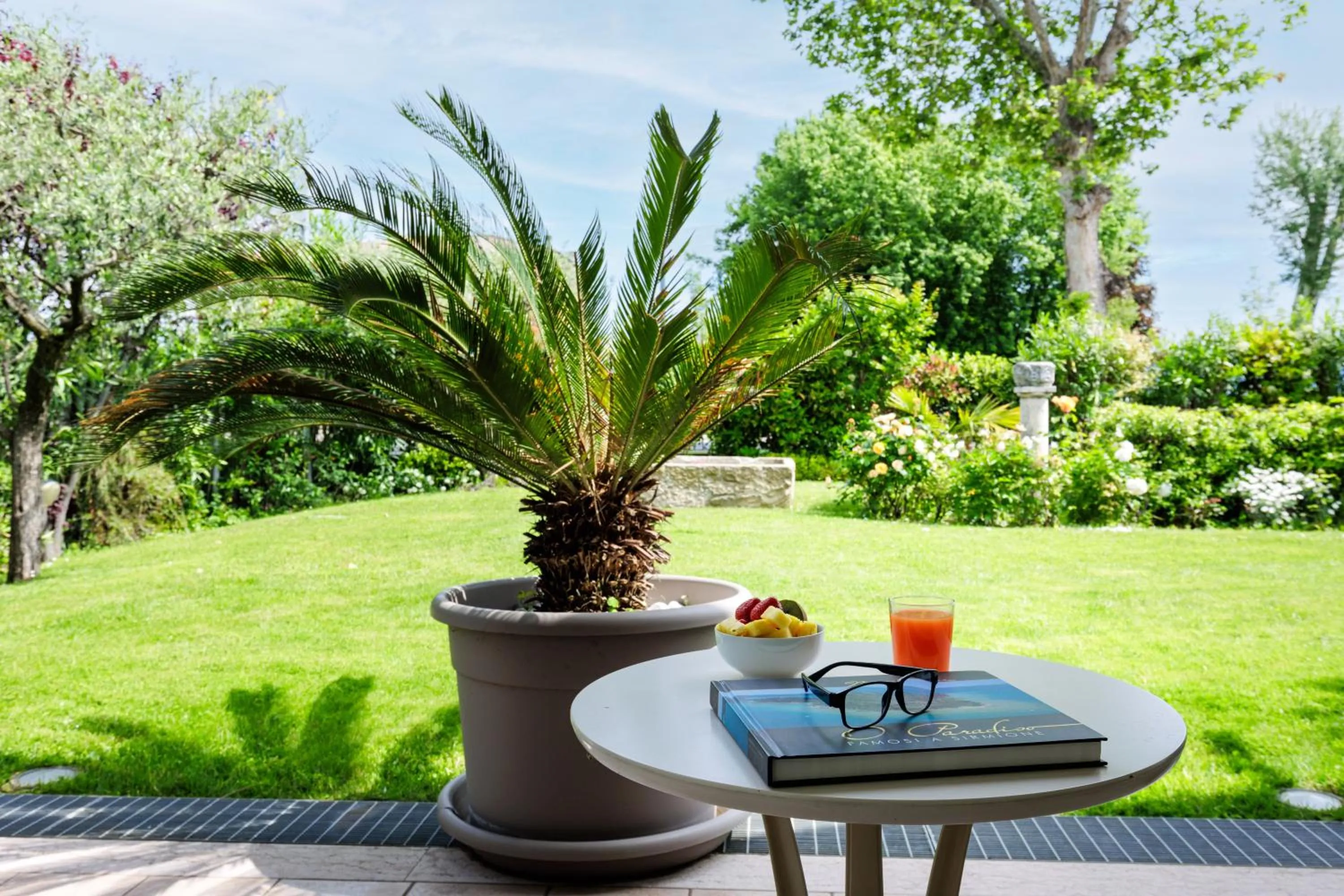 Garden in Hotel Arena