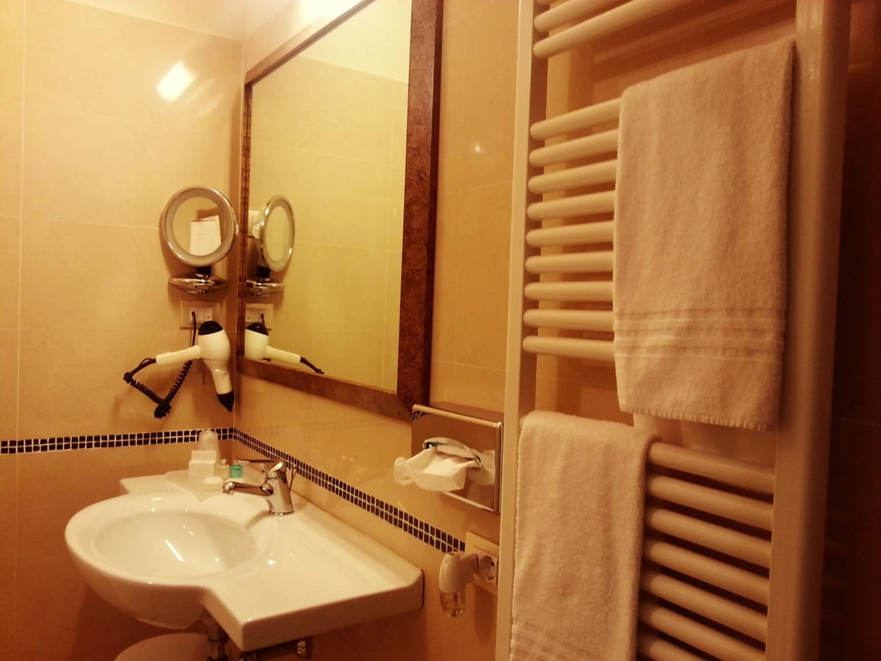 Toilet in Hotel Arena