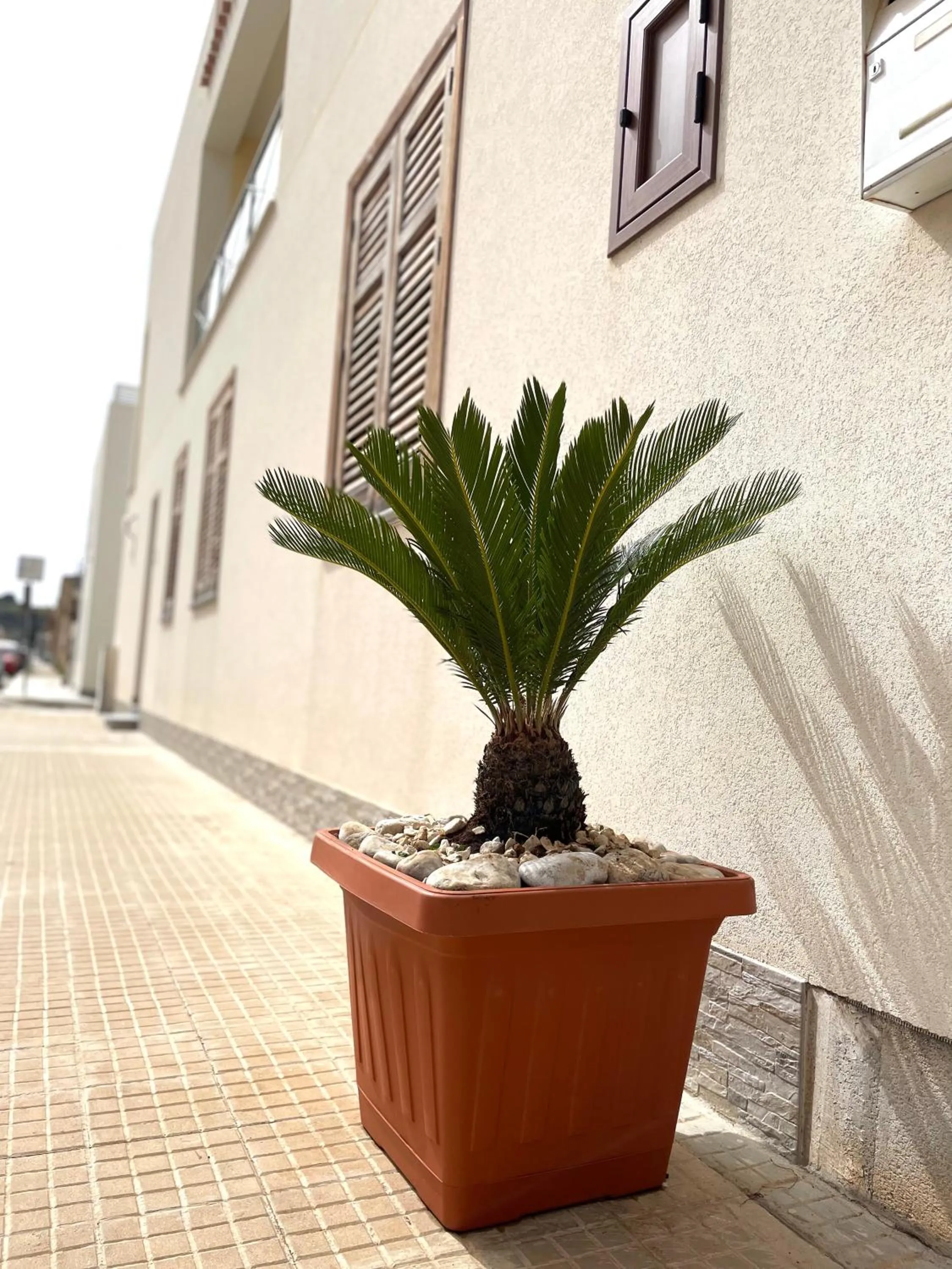 B&B La CYCAS