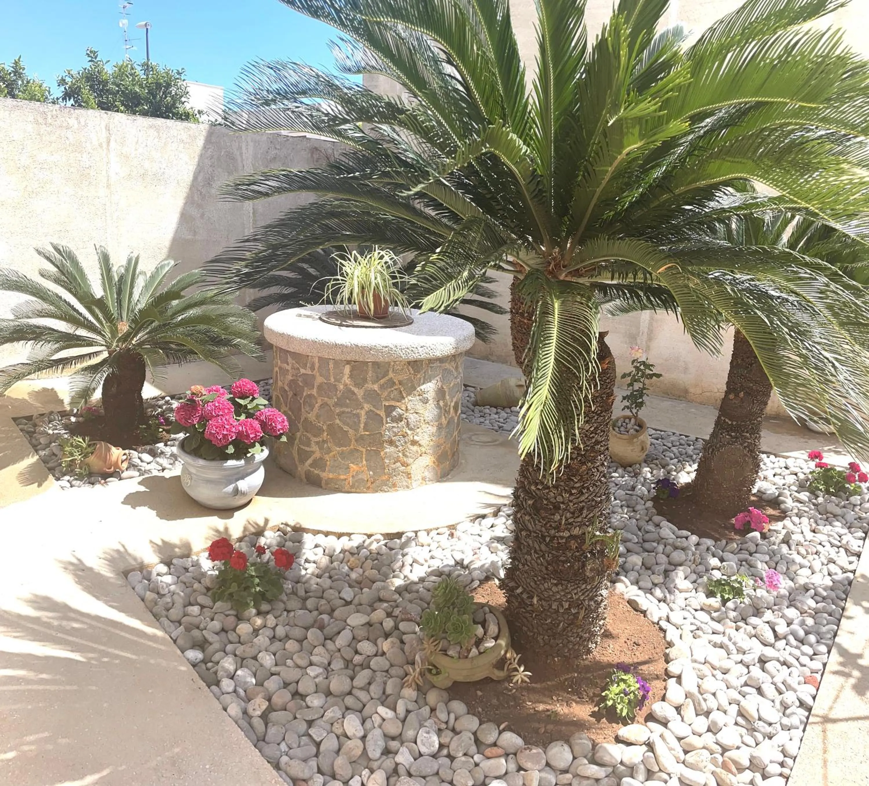 B&B La CYCAS