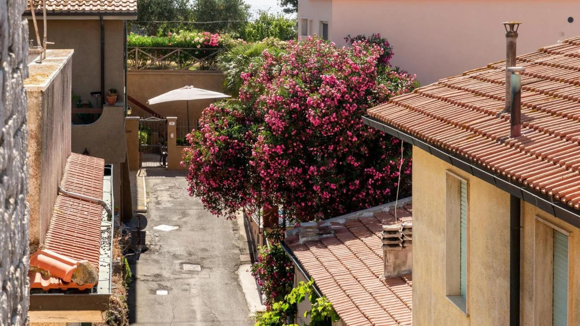 Photo of the whole room in Hotel Il Telamonio