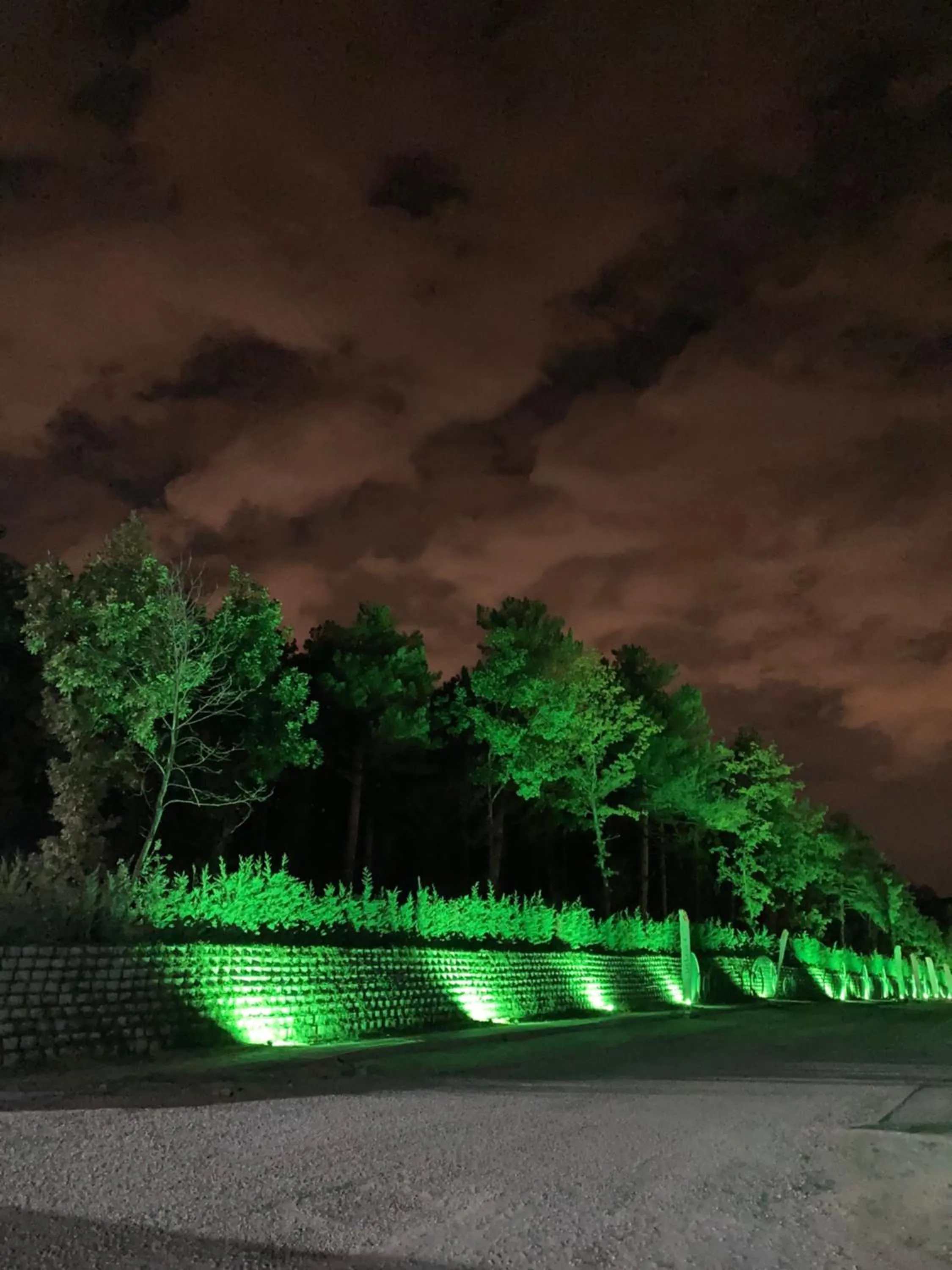 Natural landscape in Nefes Dağyenice Doğada