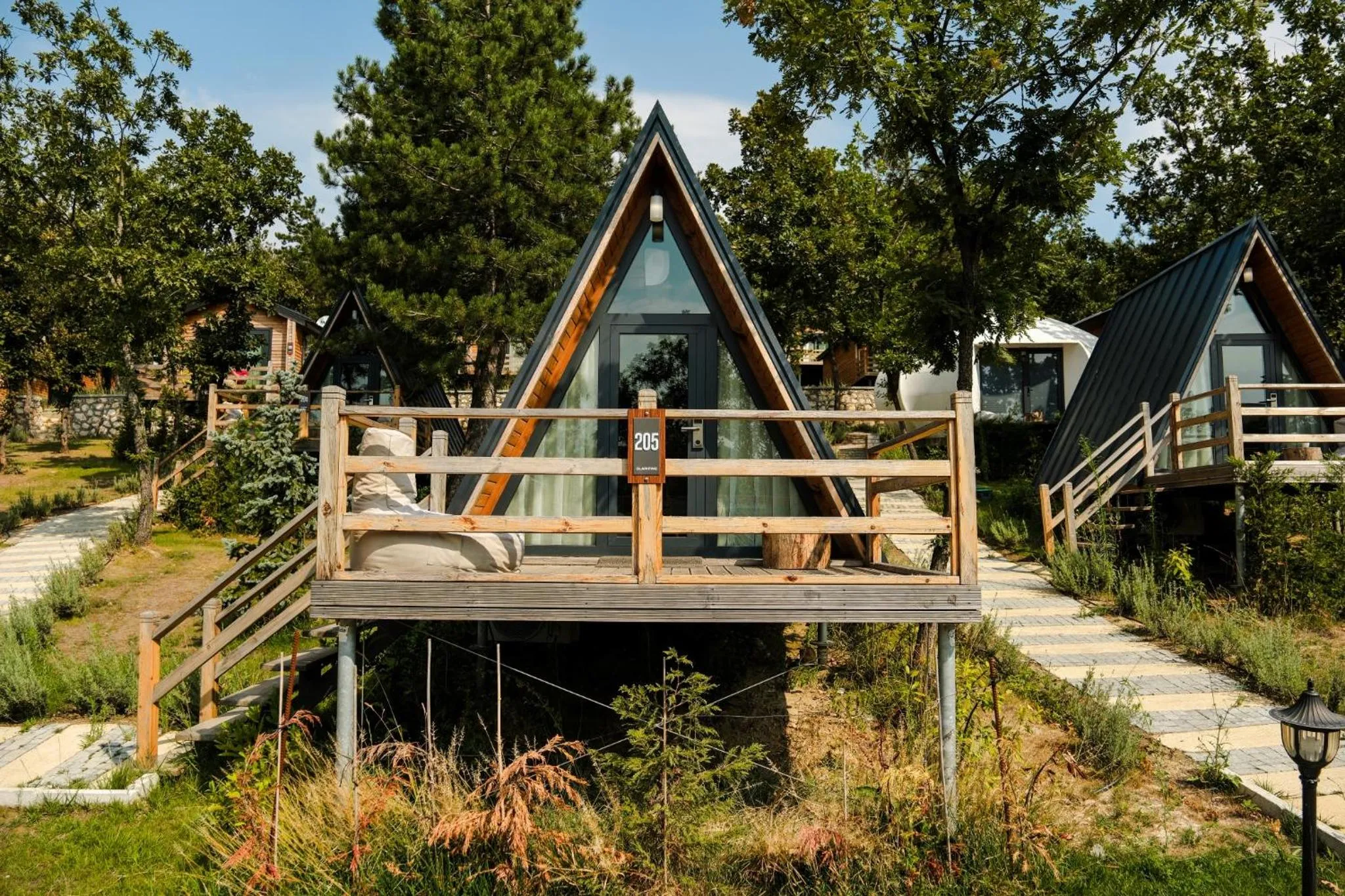 Spring in Nefes Dağyenice Doğada