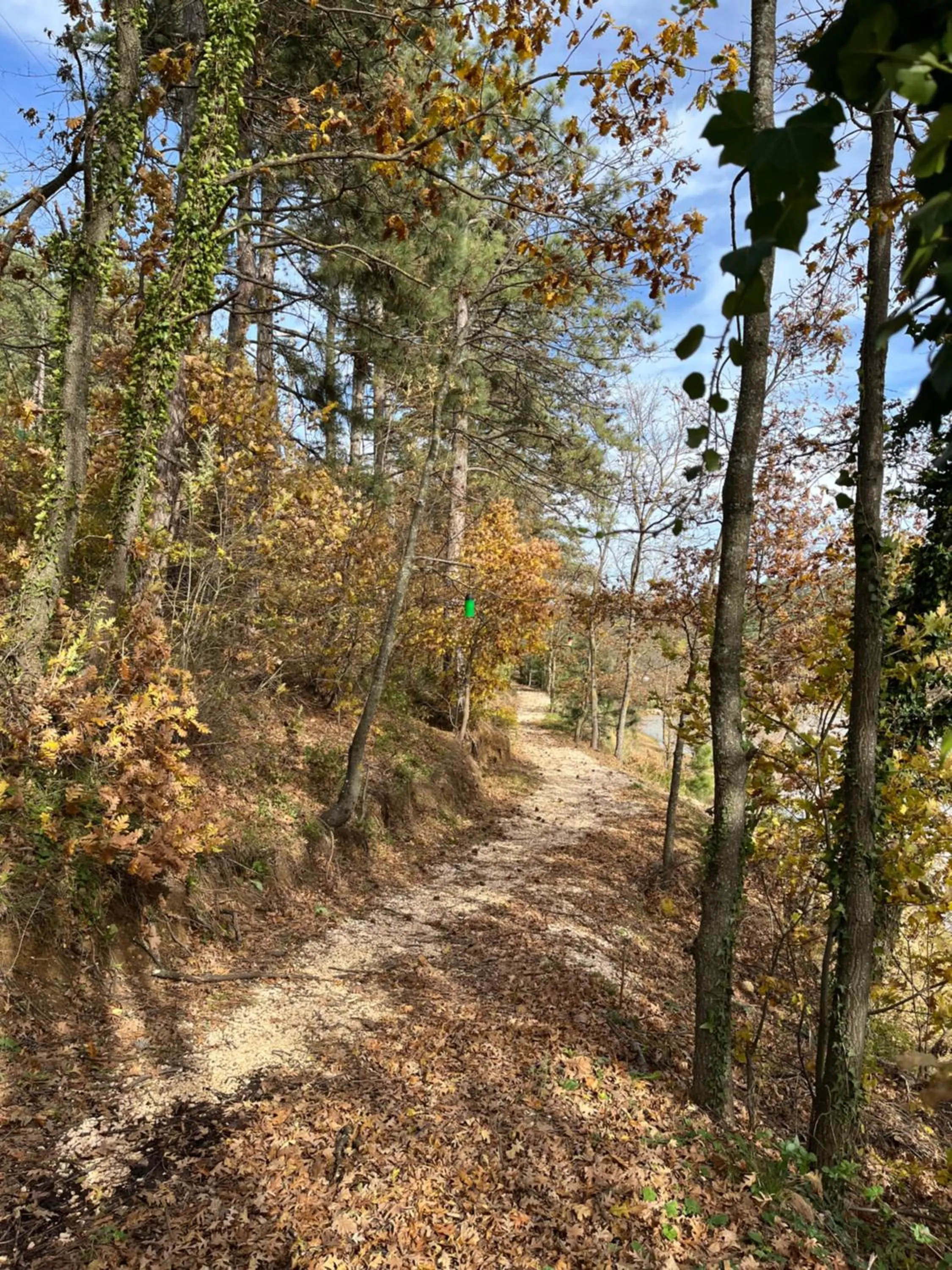 Natural landscape in Nefes Dağyenice Doğada
