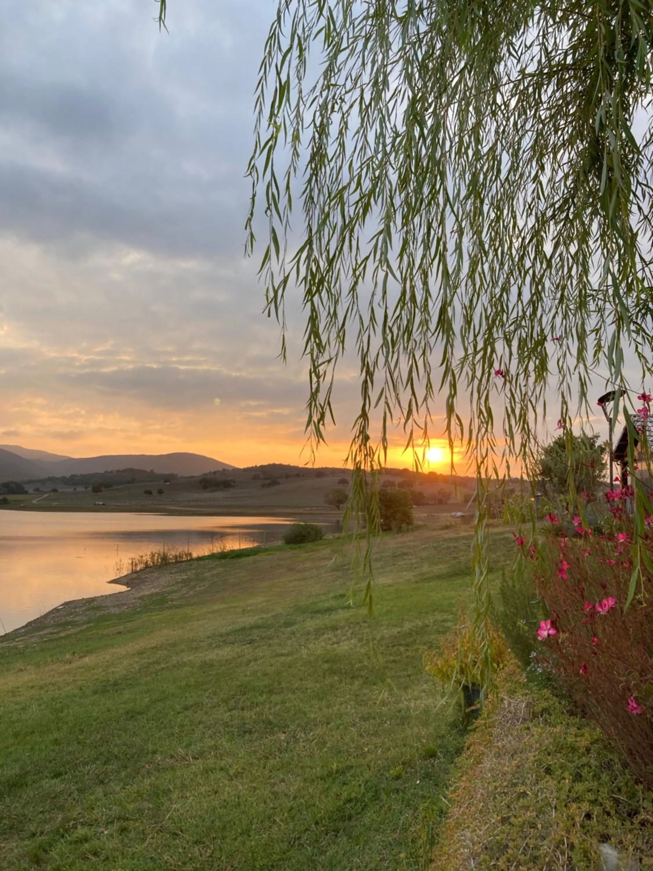 Spring in Nefes Dağyenice Doğada