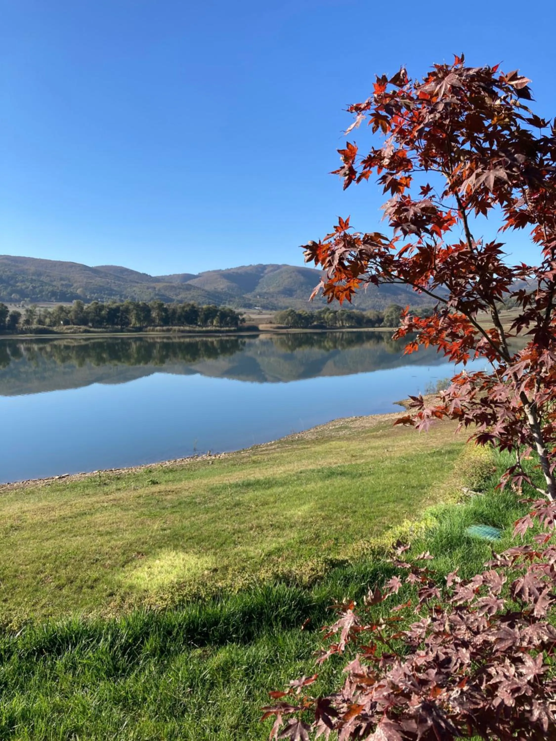 Day in Nefes Dağyenice Doğada