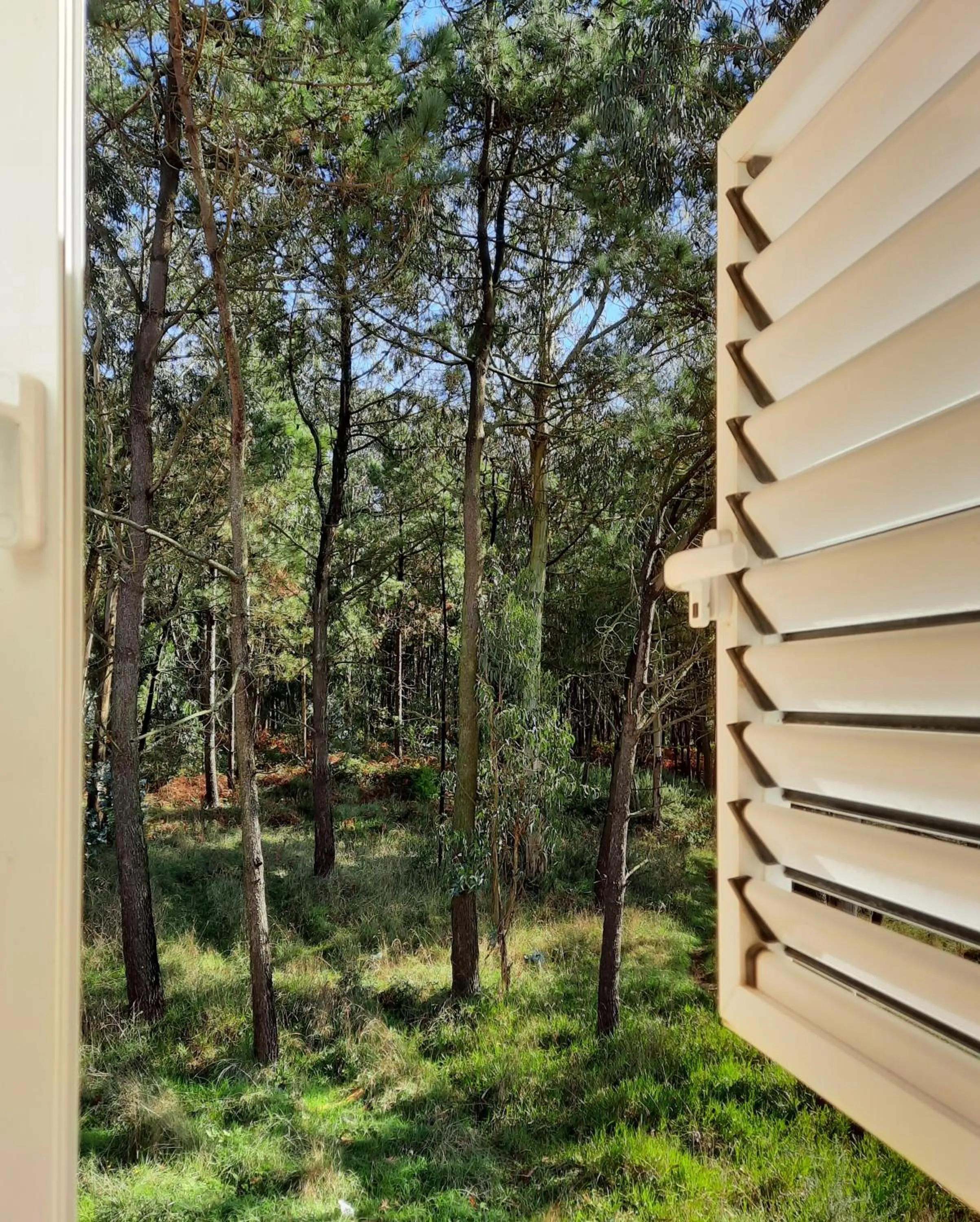 View (from property/room) in Smiling Places - Guest House in Labruge