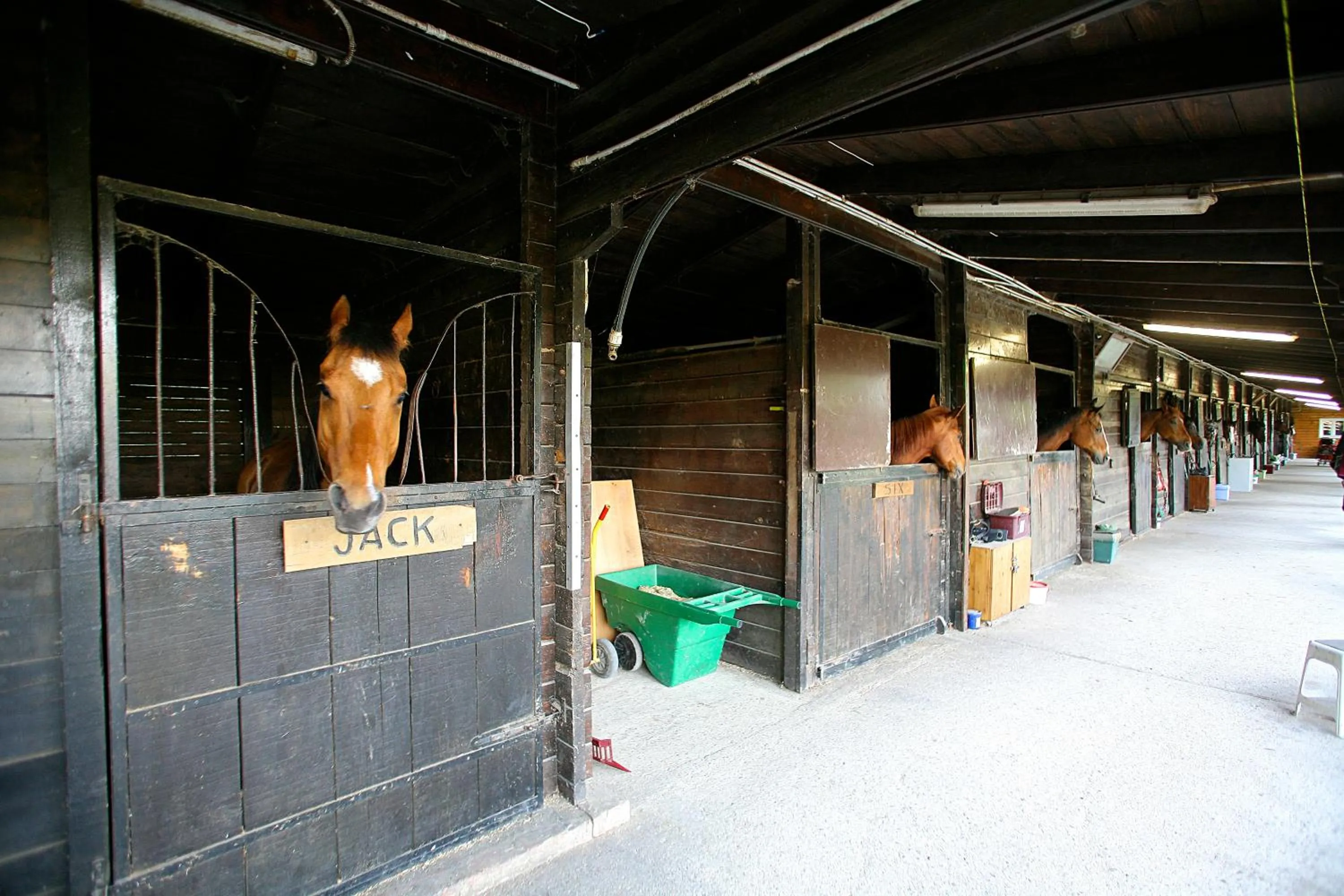 Horse-riding in Tenuta Il Burchio
