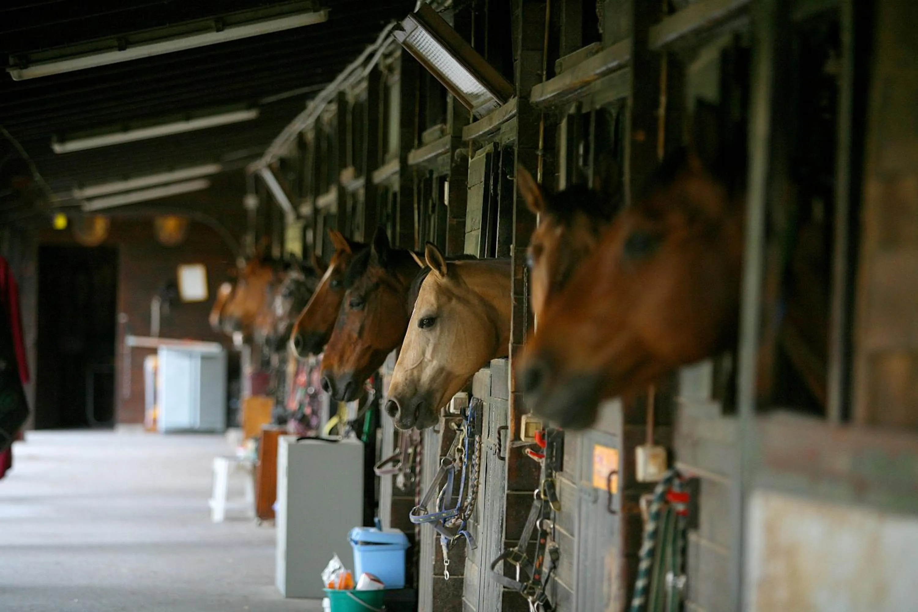 Decorative detail in Tenuta Il Burchio
