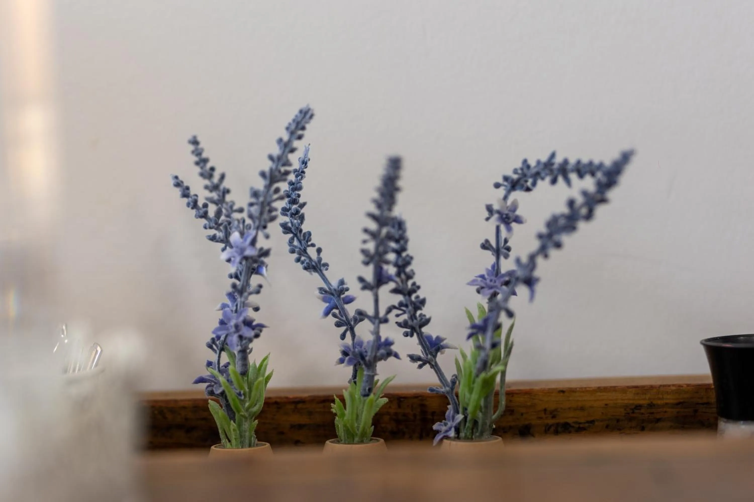 Property building in Graça Garden Torres Vedras