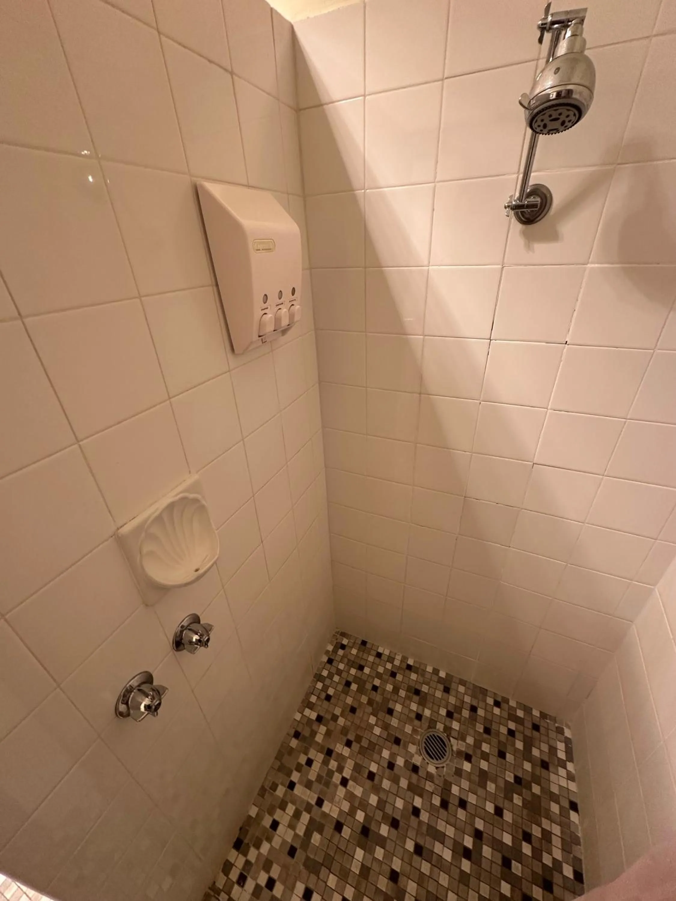 Shower in Admurraya House Bed & Breakfast