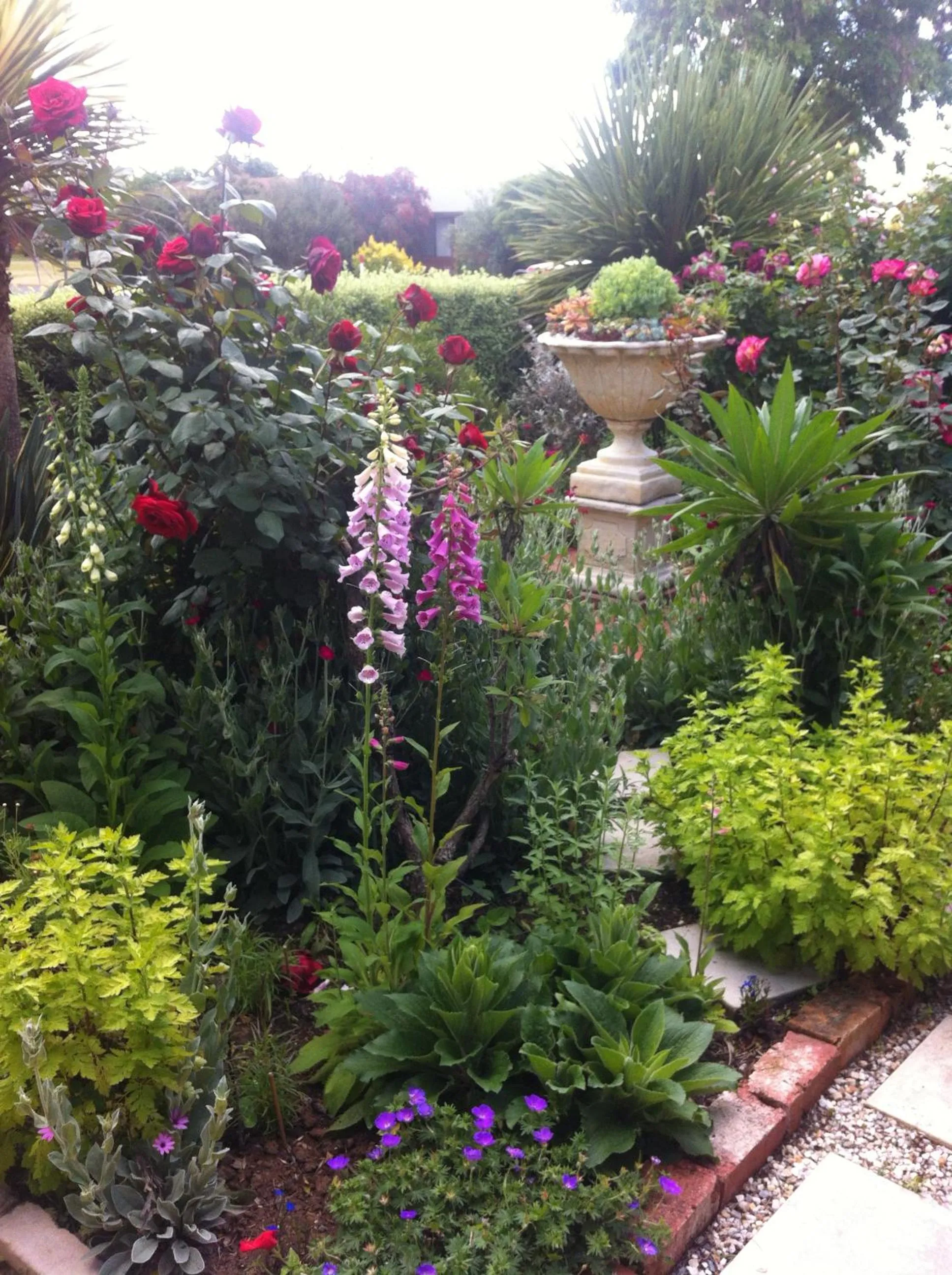 Garden in Admurraya House Bed & Breakfast