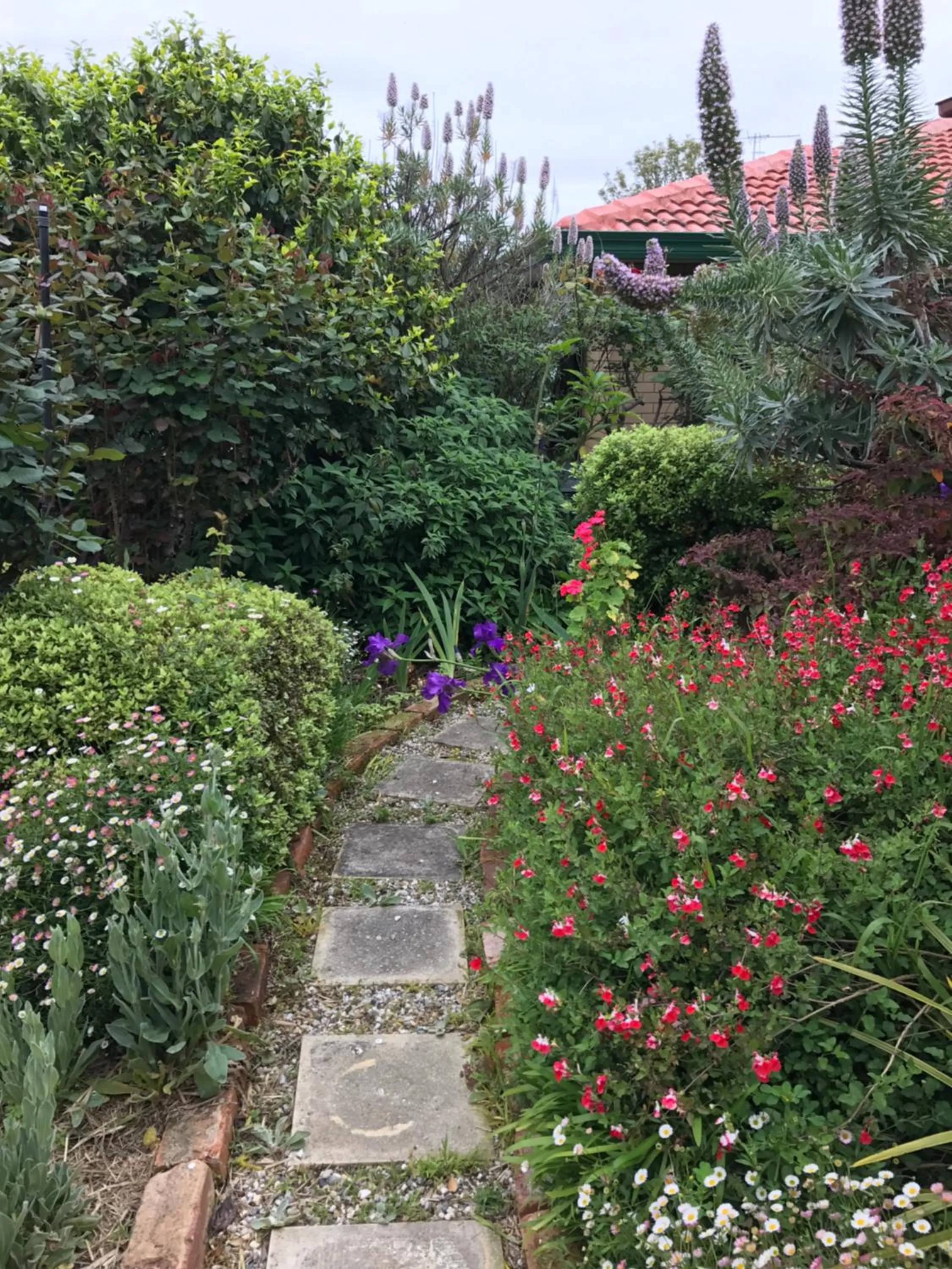 Garden in Admurraya House Bed & Breakfast