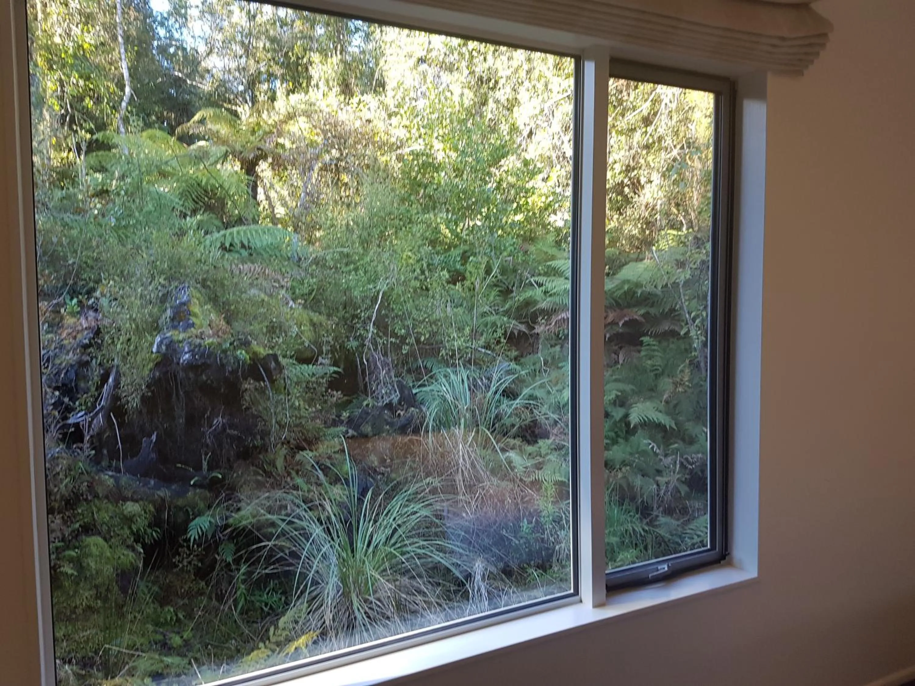 View (from property/room) in Aspen Court Franz Josef