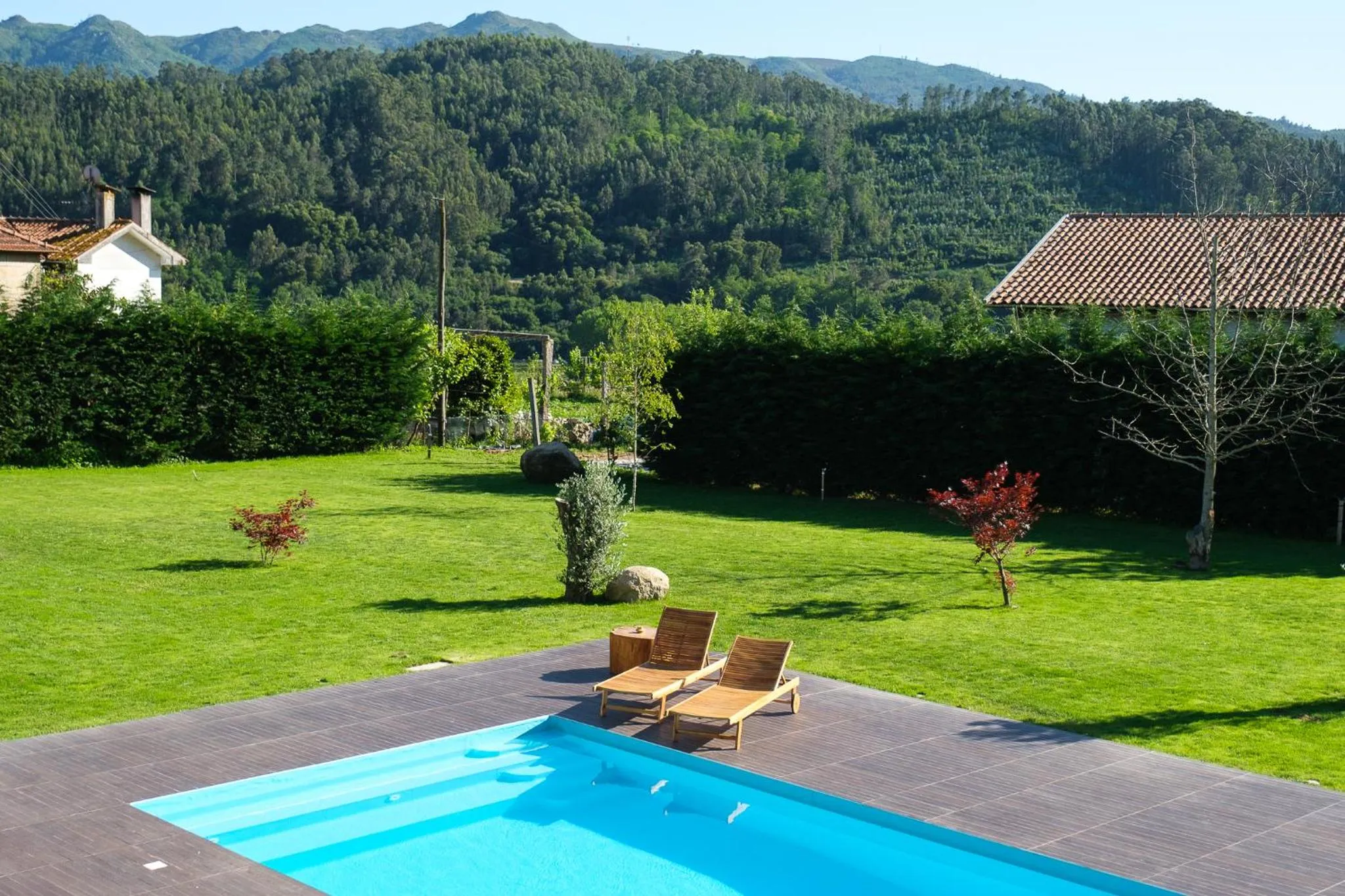 Garden in Casa Vieira Lobo