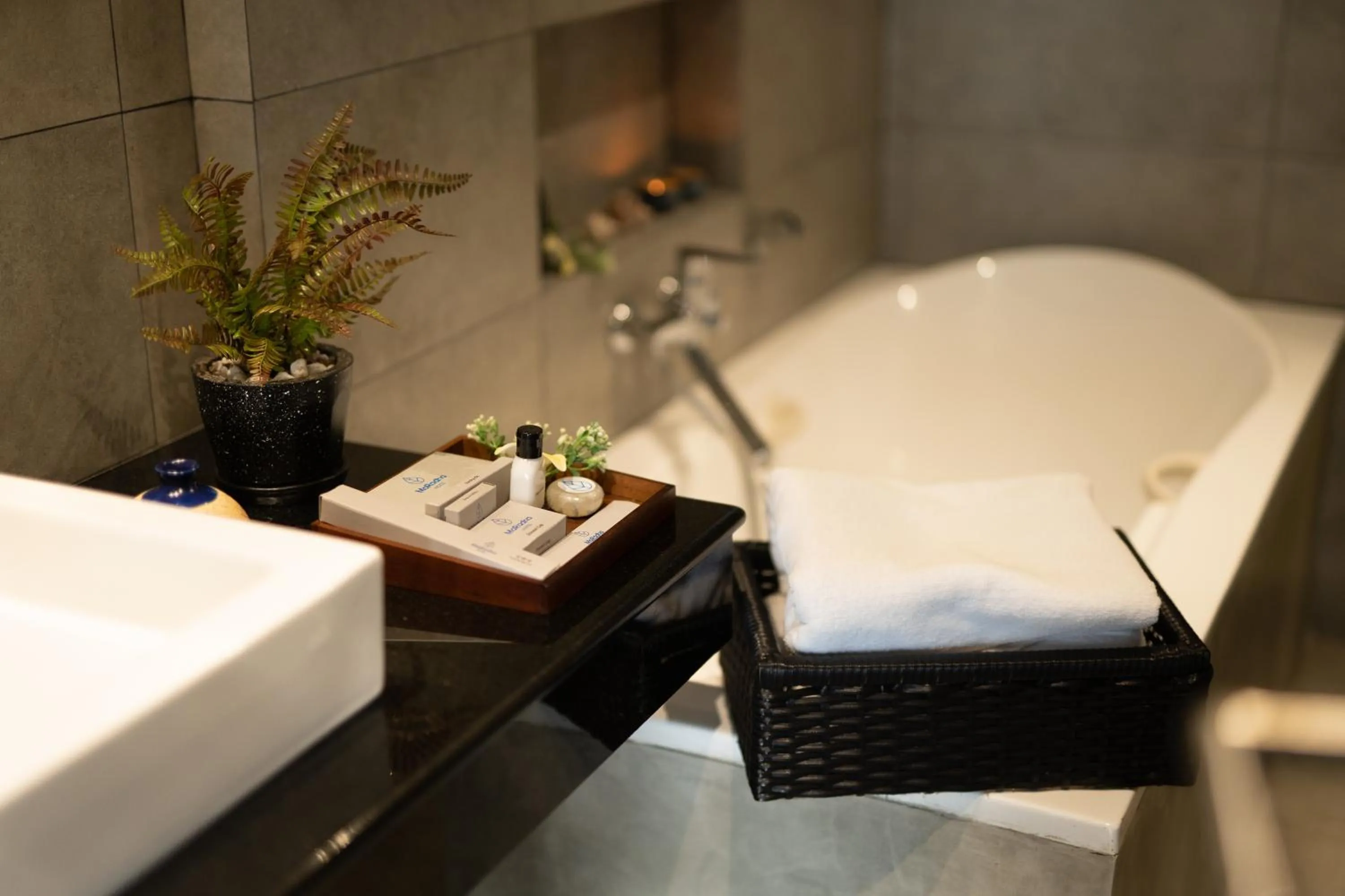 Shower in MaRadha Colombo