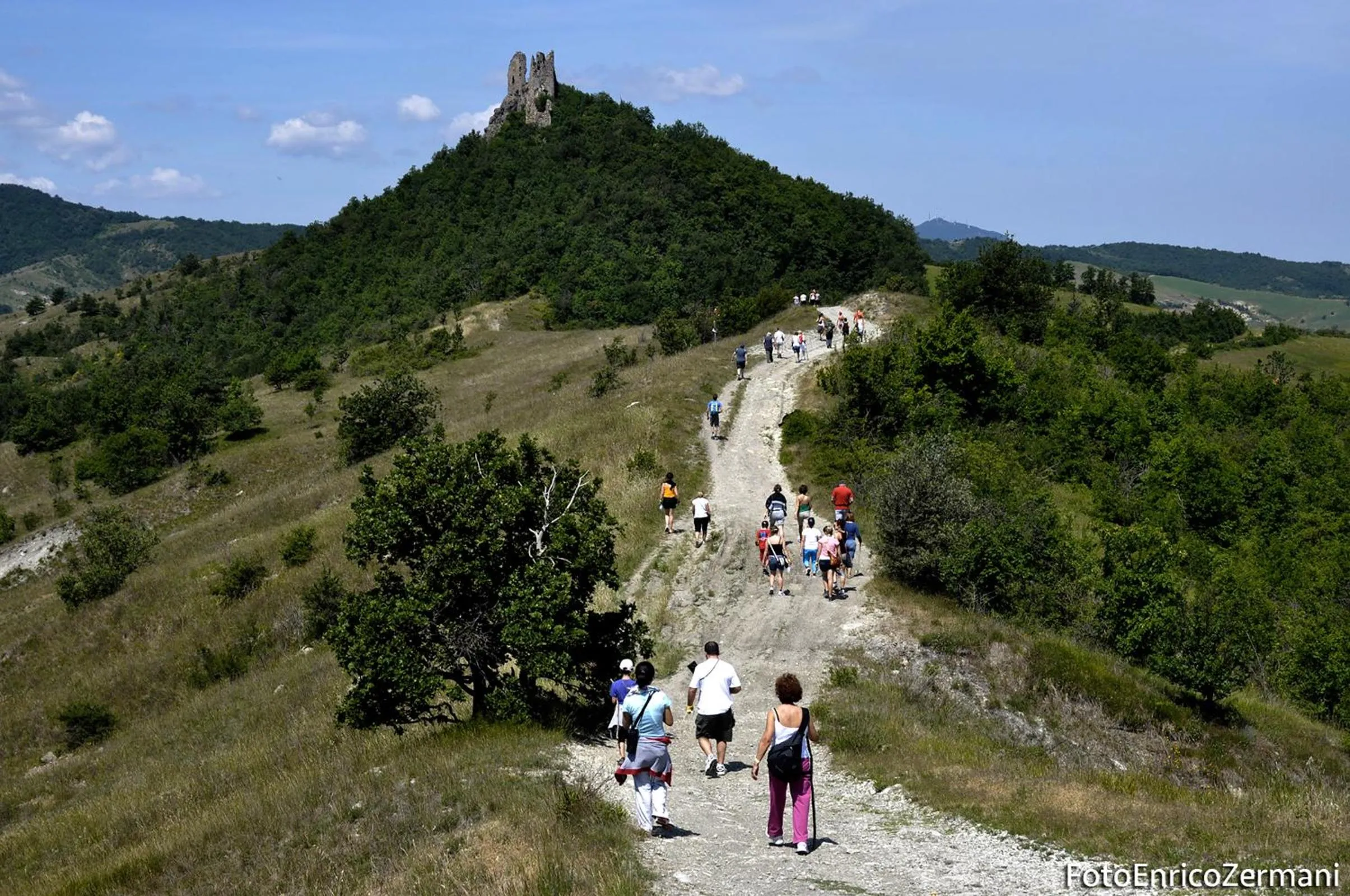 Natural landscape in Hotel Salus