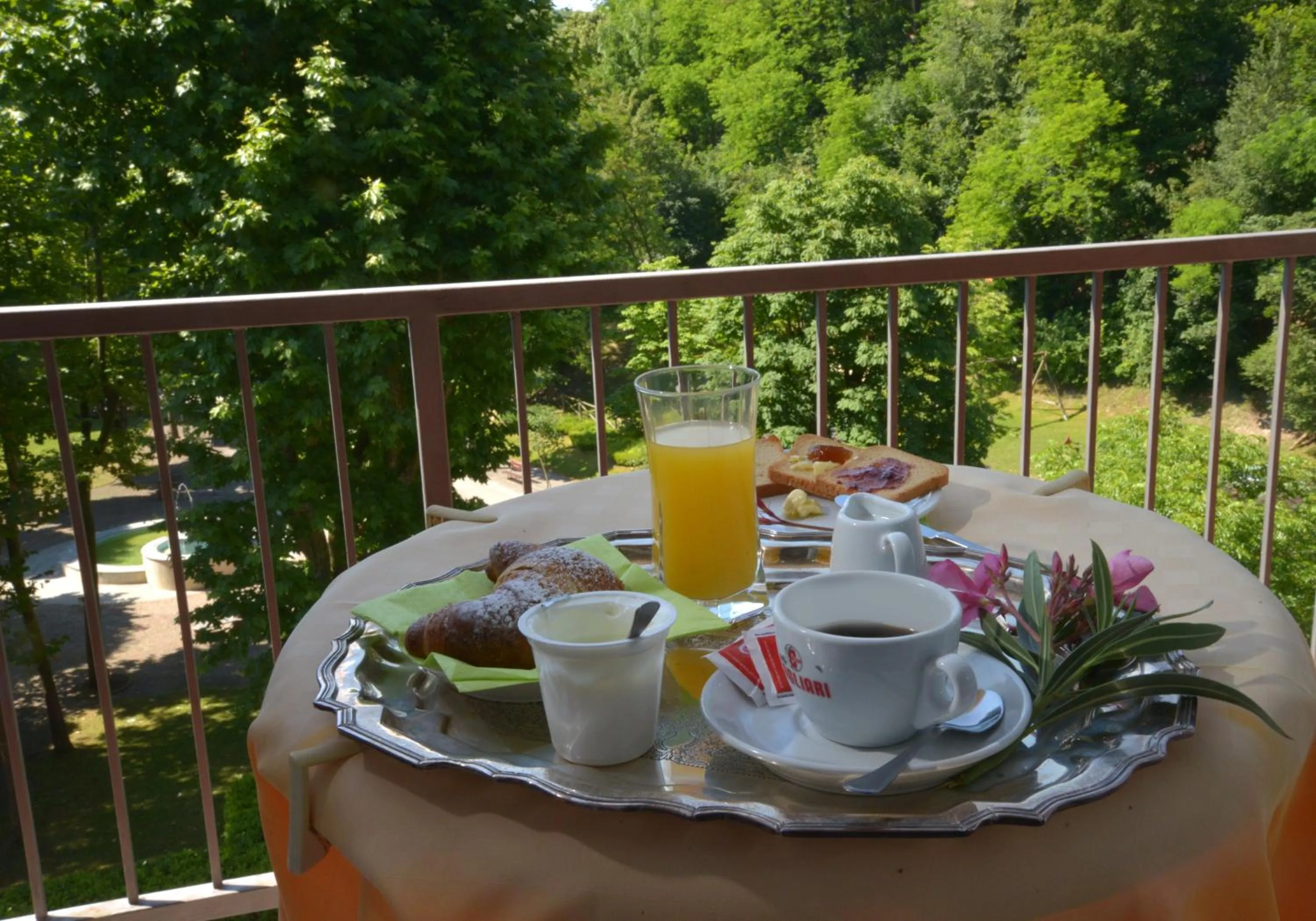 Balcony/Terrace in Hotel Salus