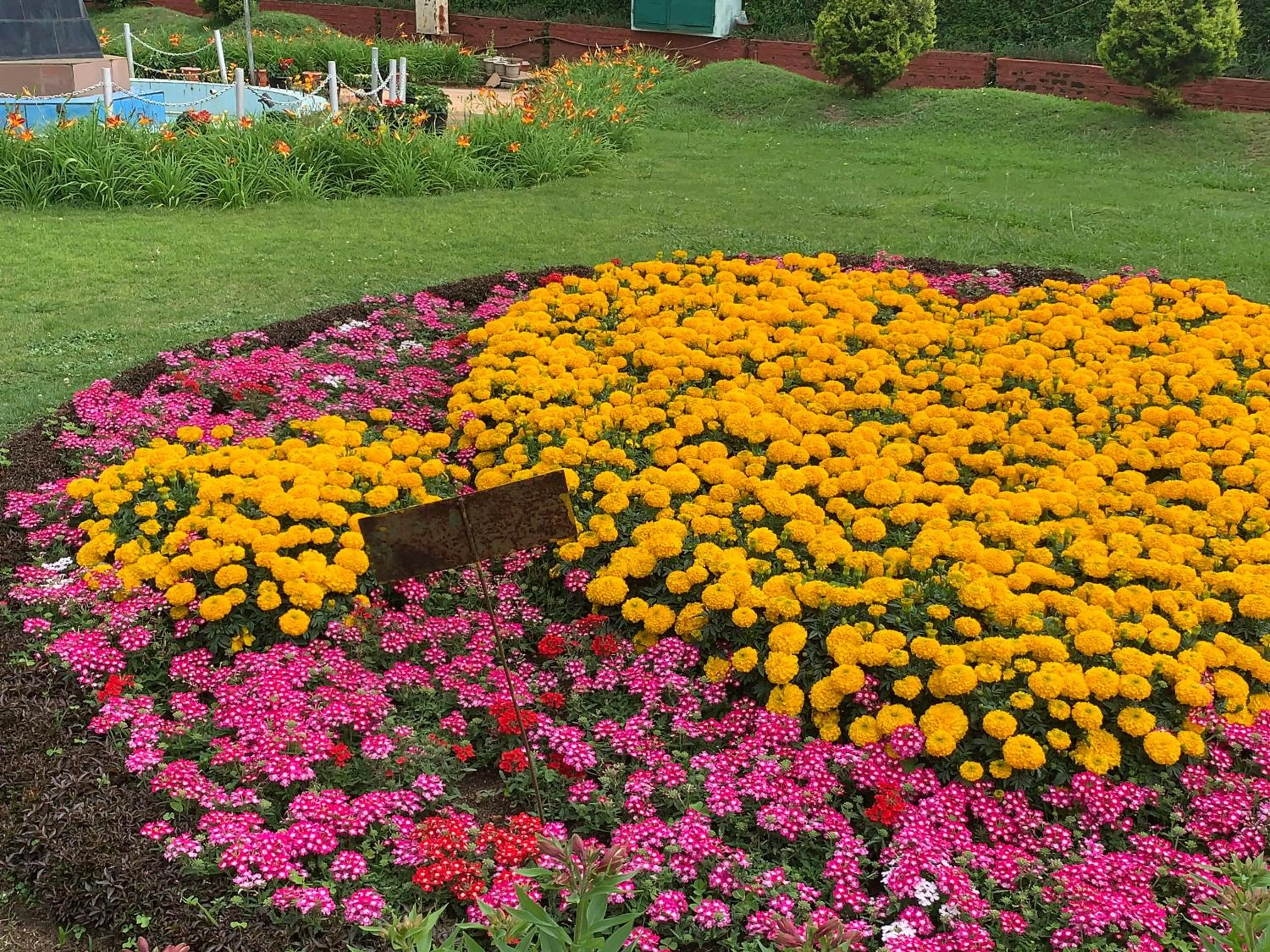 Quiet street view in Kodai Pinetree Residency