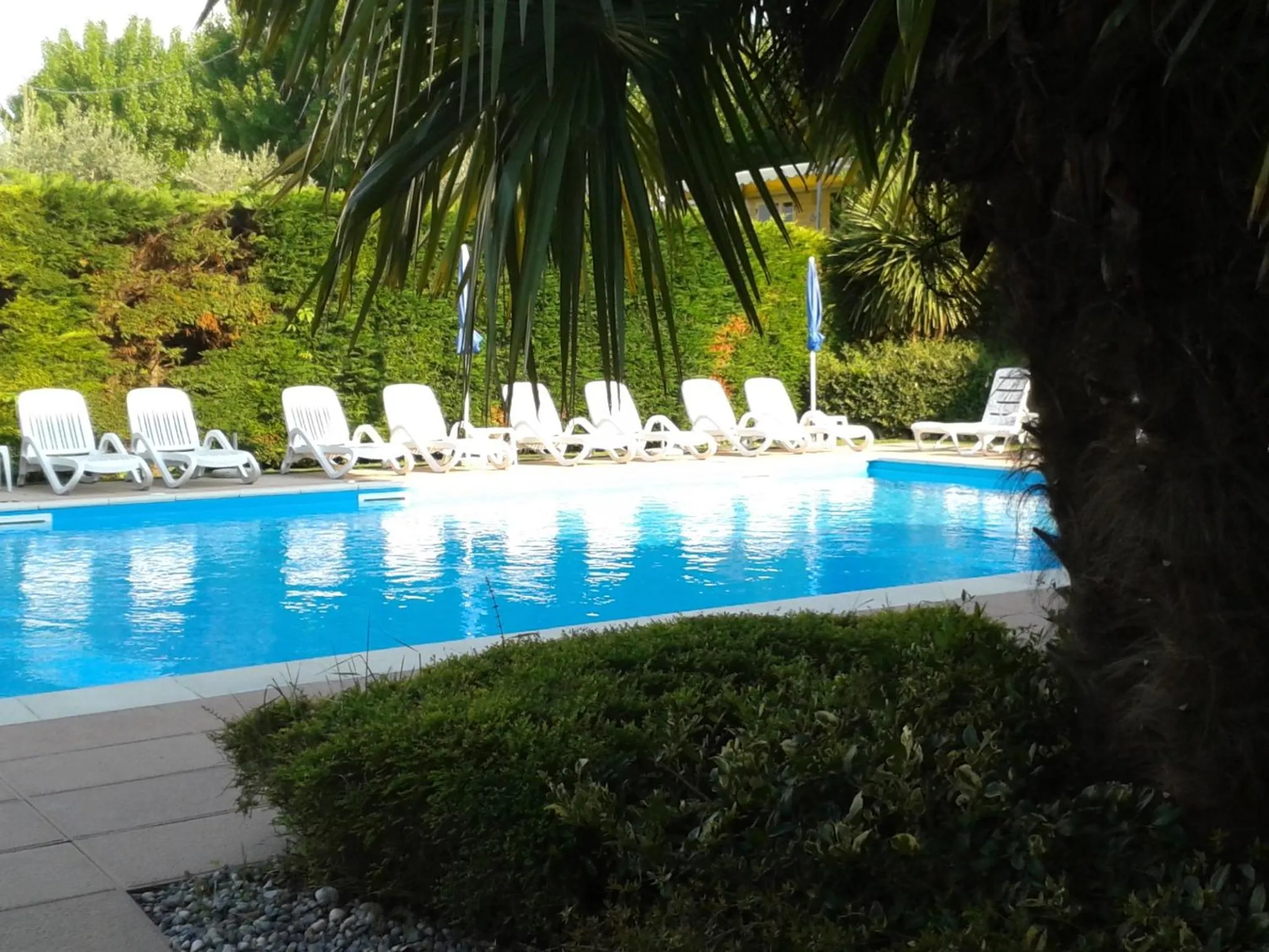 Garden in Hotel Fornaci