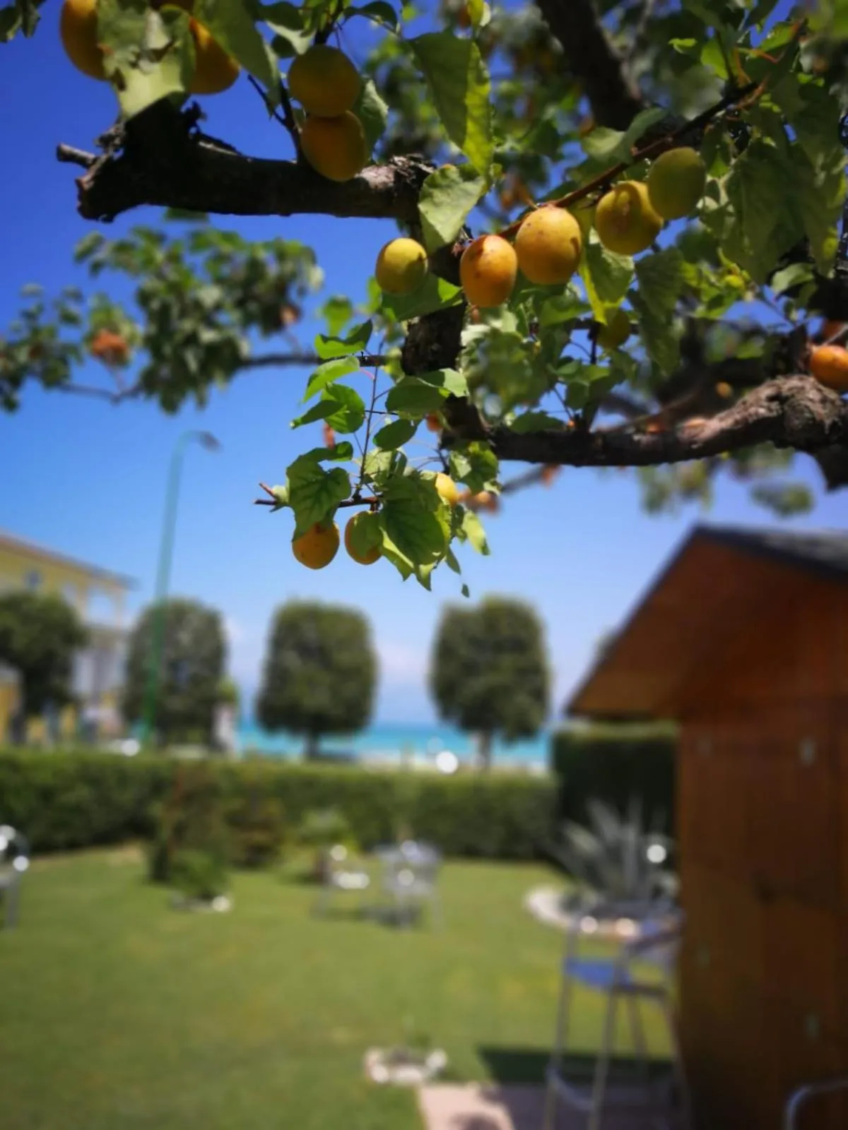 Garden in Hotel Fornaci