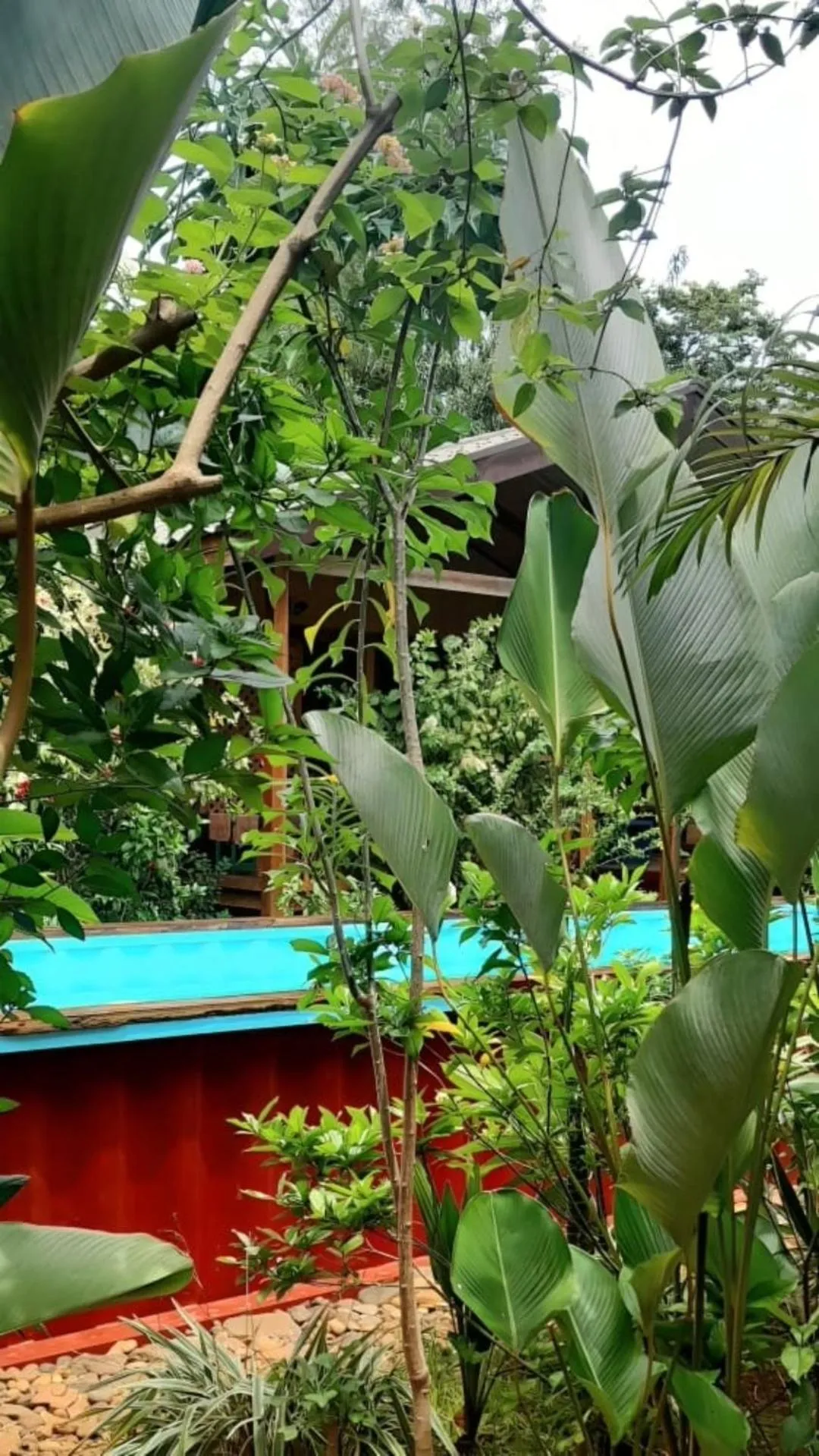 Garden view in At Home