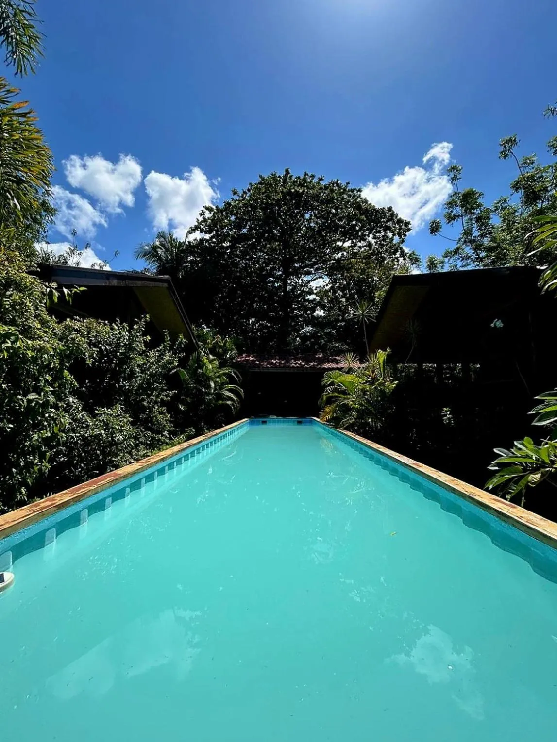 Swimming pool in At Home